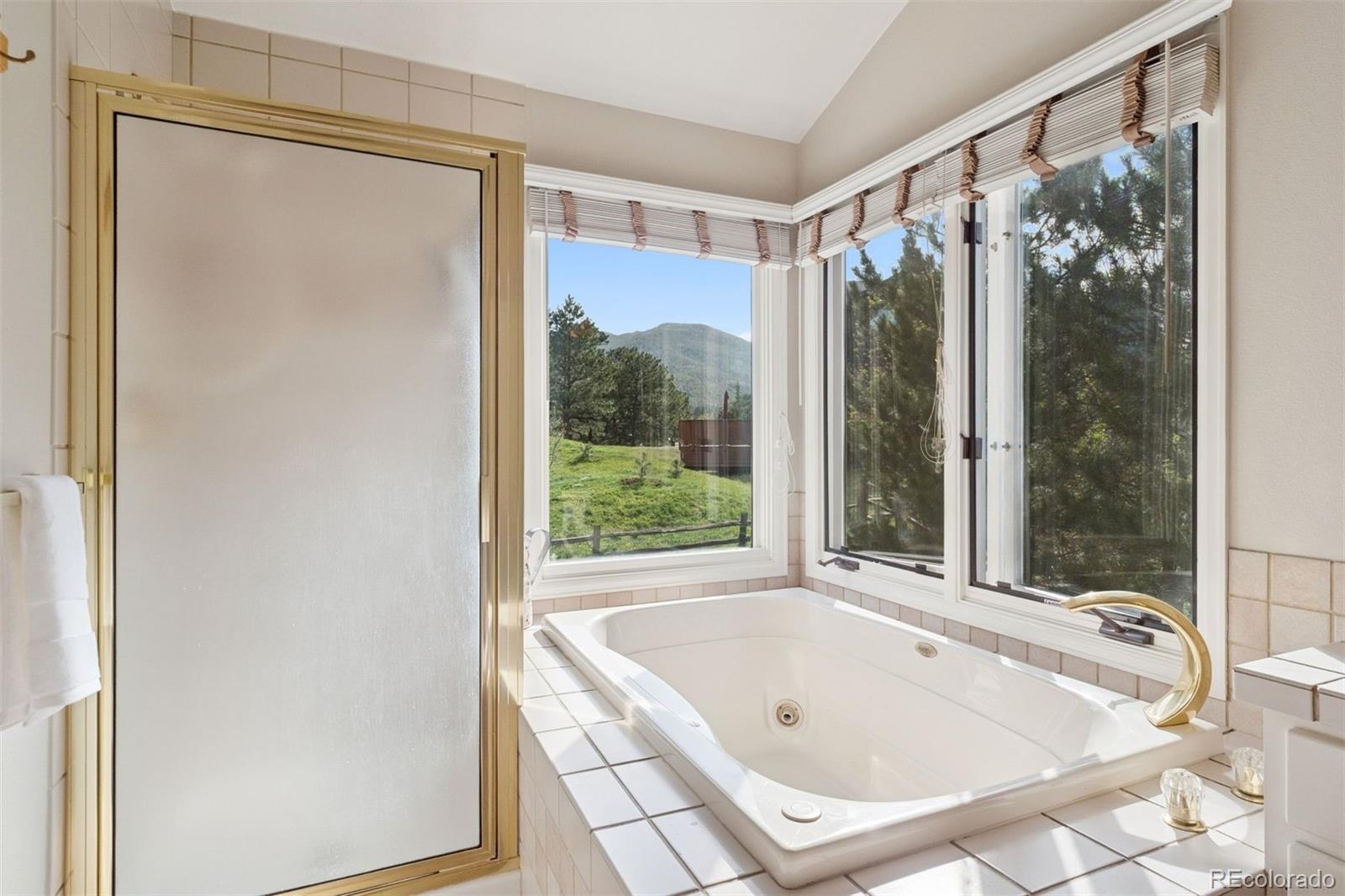 MLS Image #22 for 31402 n bermuda dunes drive,evergreen, Colorado