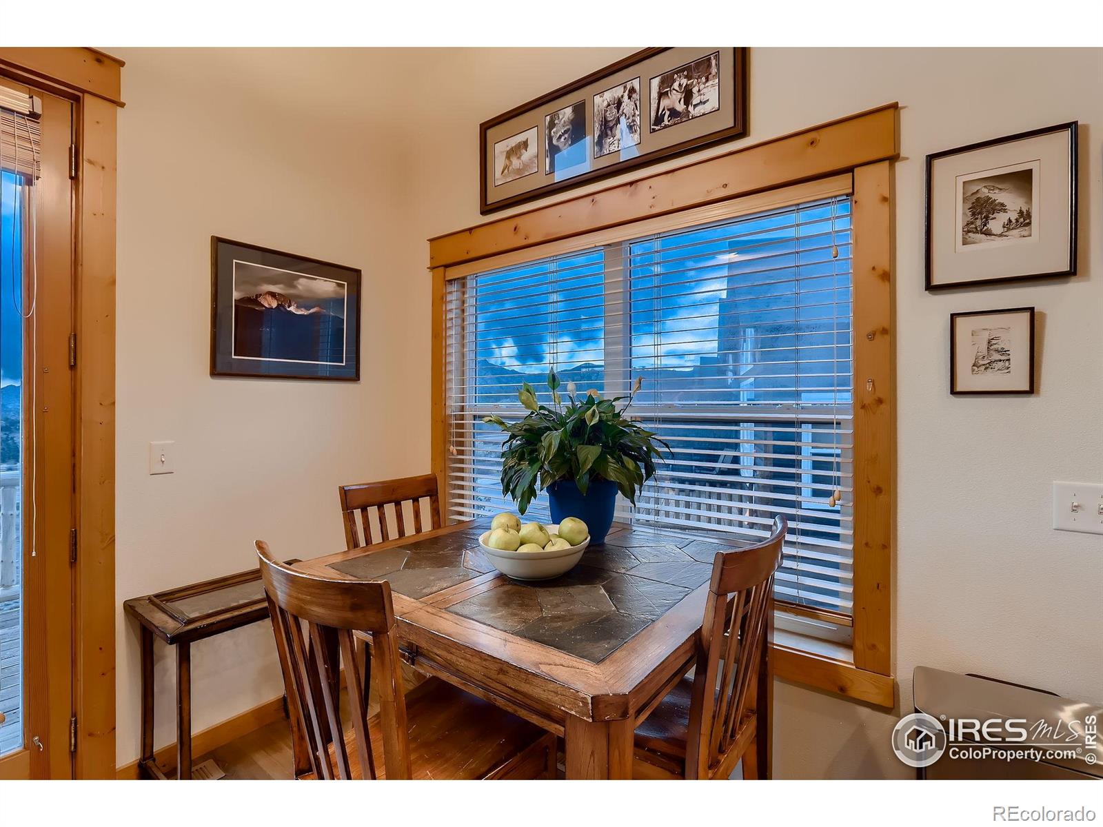 MLS Image #10 for 2625  marys lake road,estes park, Colorado