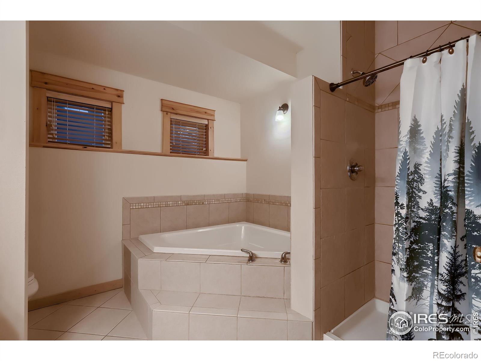 MLS Image #19 for 2625  marys lake road,estes park, Colorado