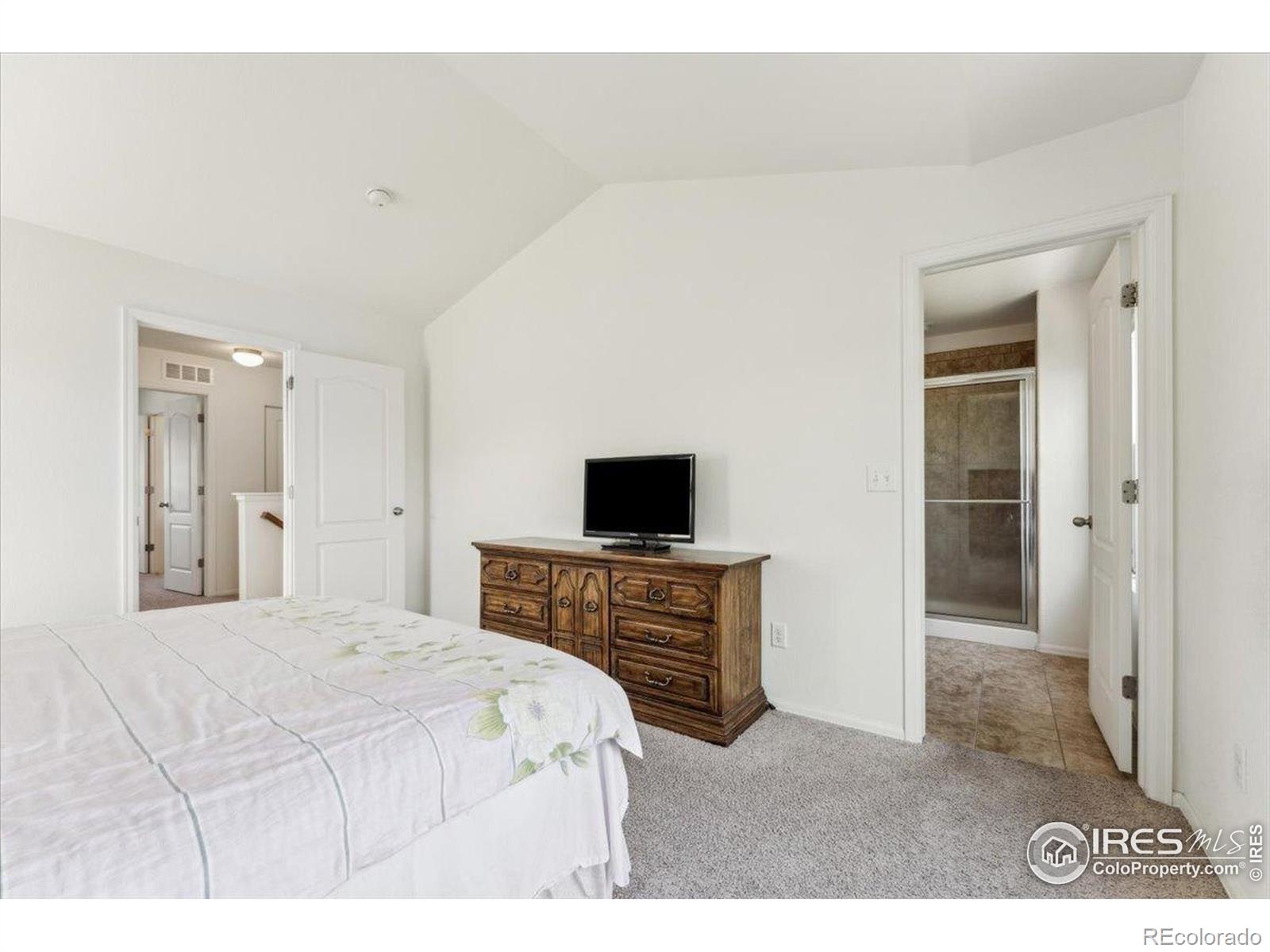 MLS Image #18 for 1736  trevor court,longmont, Colorado