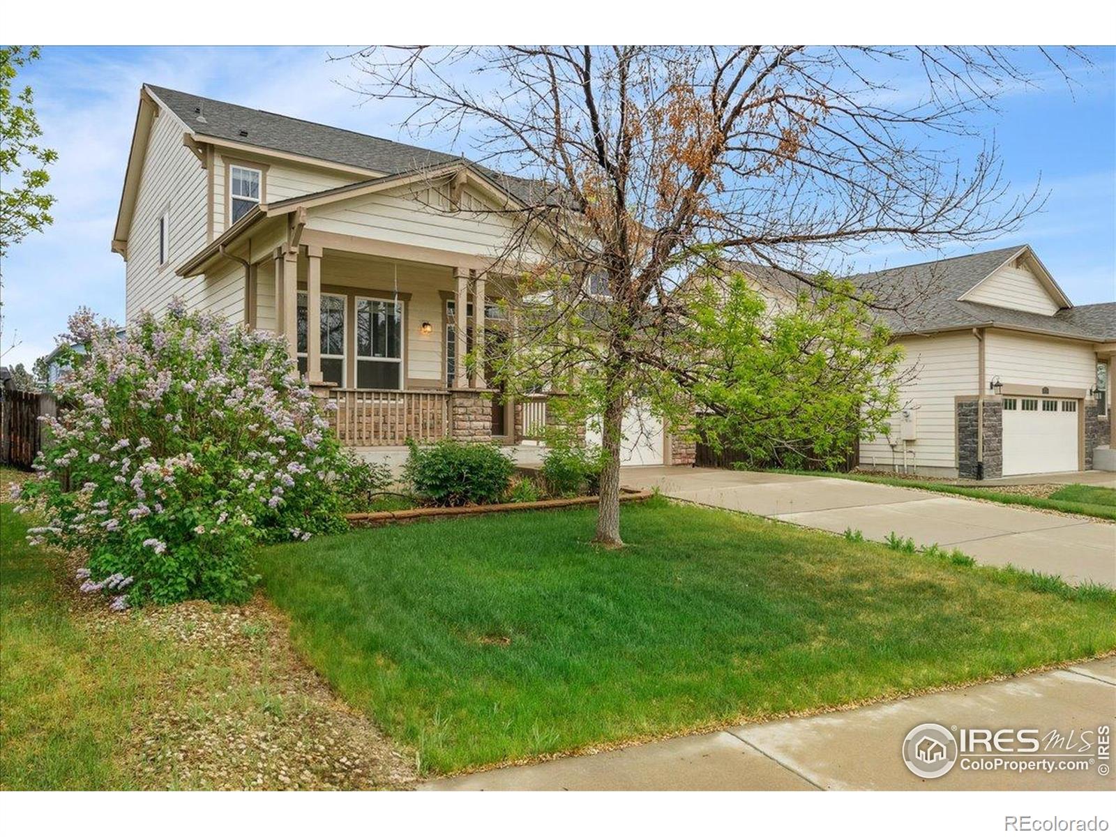MLS Image #2 for 1736  trevor court,longmont, Colorado