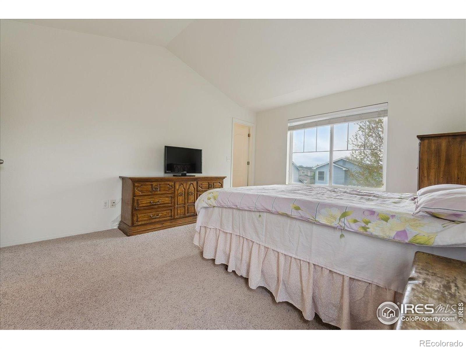 MLS Image #24 for 1736  trevor court,longmont, Colorado
