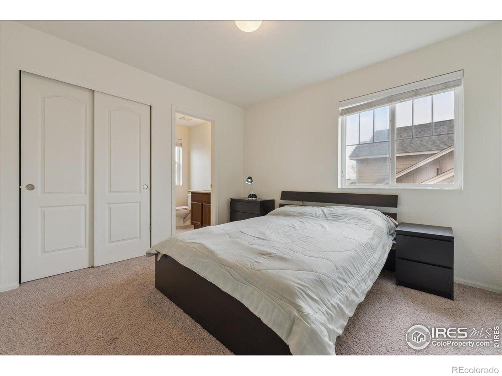 MLS Image #34 for 1736  trevor court,longmont, Colorado