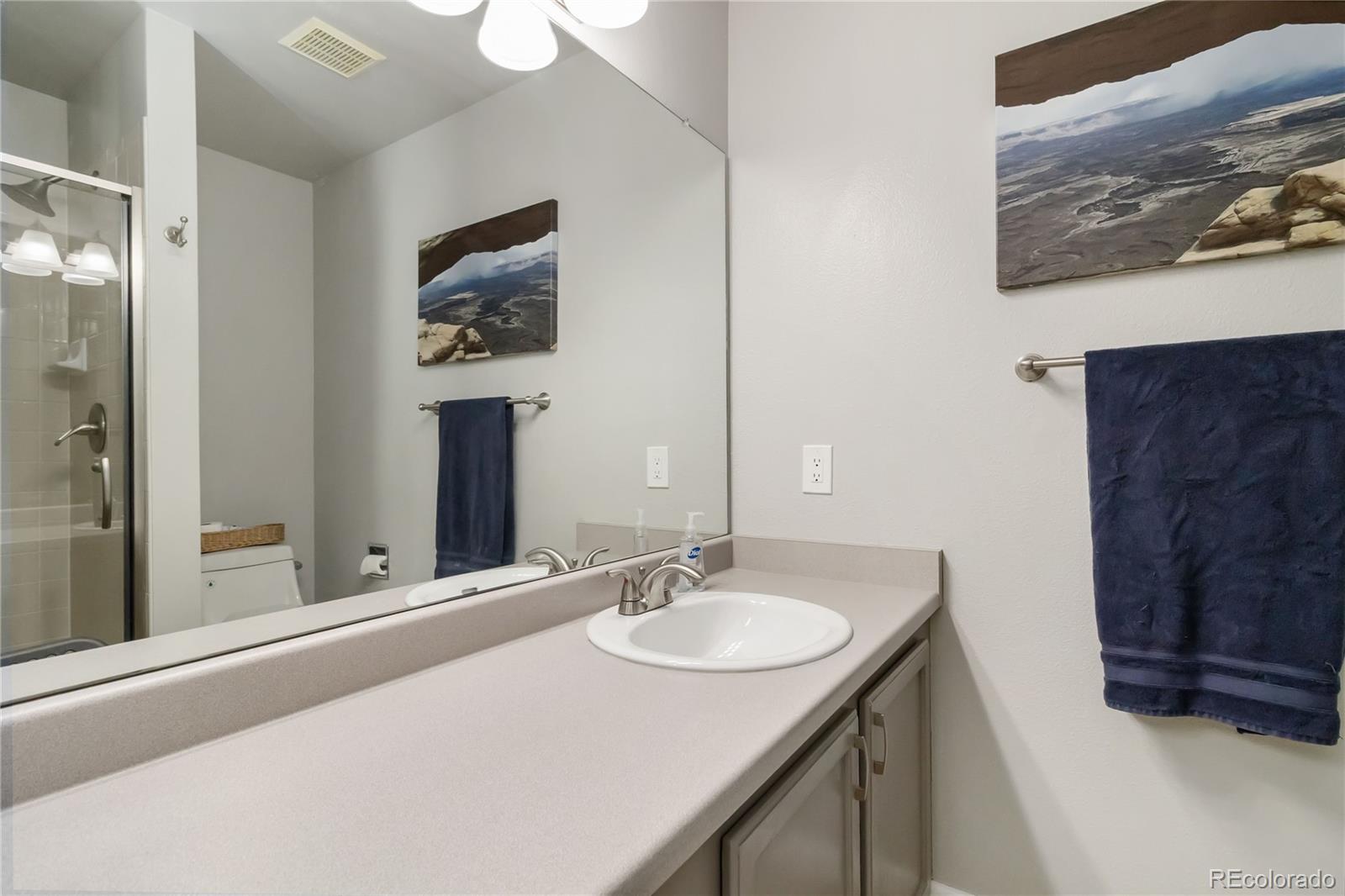 MLS Image #20 for 331  chelsea street,castle rock, Colorado