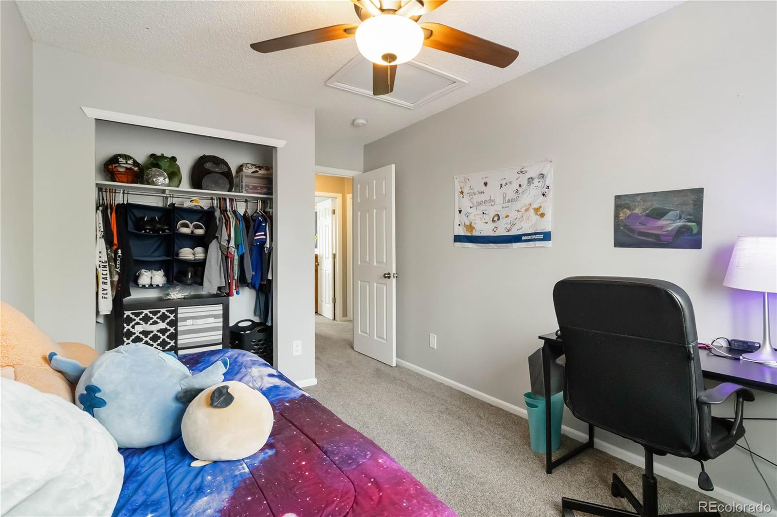 MLS Image #23 for 331  chelsea street,castle rock, Colorado