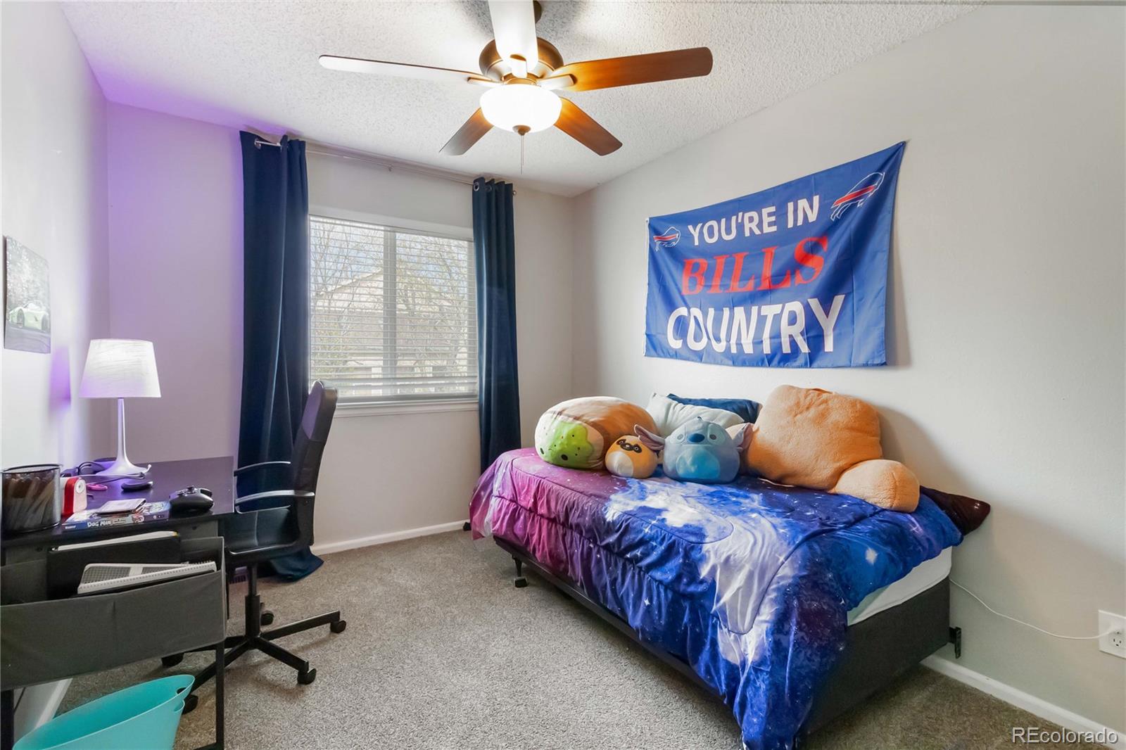 MLS Image #25 for 331  chelsea street,castle rock, Colorado