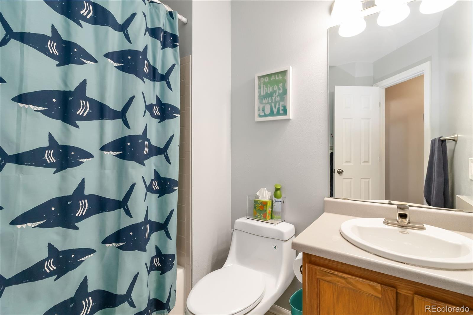 MLS Image #26 for 331  chelsea street,castle rock, Colorado