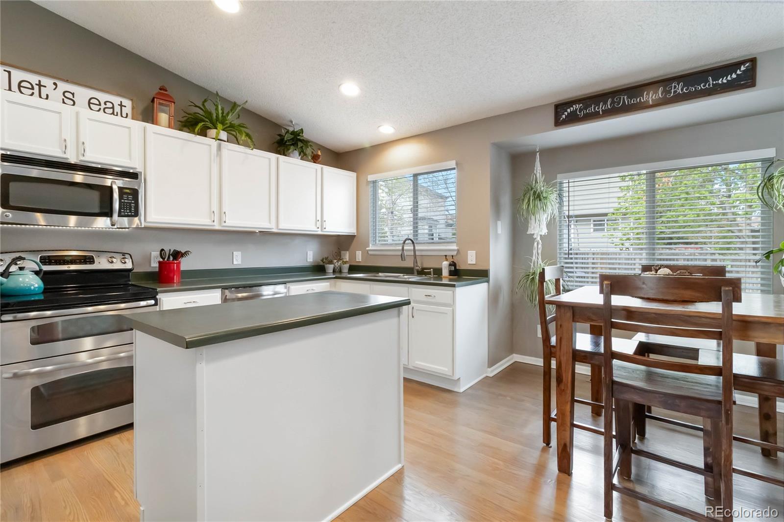 MLS Image #6 for 331  chelsea street,castle rock, Colorado