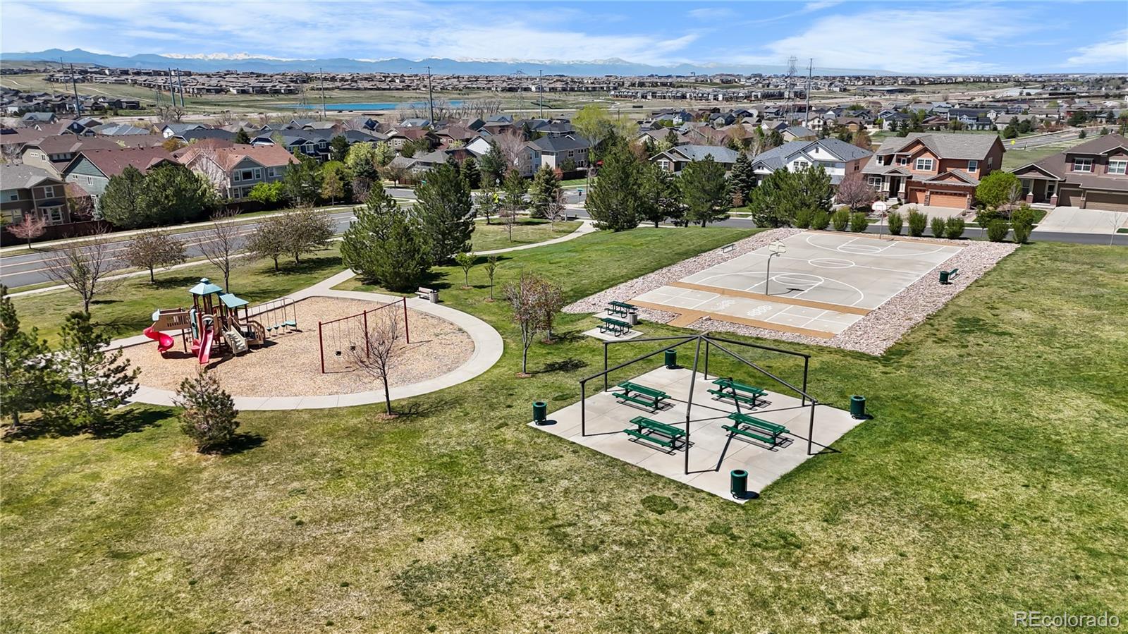 MLS Image #13 for 11703 s rock willow way,parker, Colorado