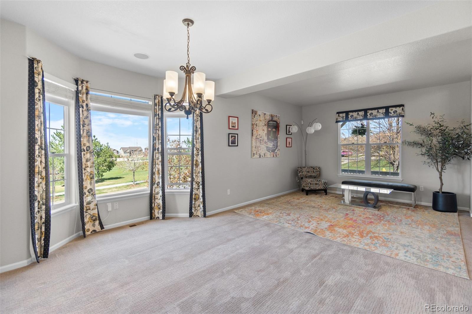 MLS Image #21 for 11703 s rock willow way,parker, Colorado