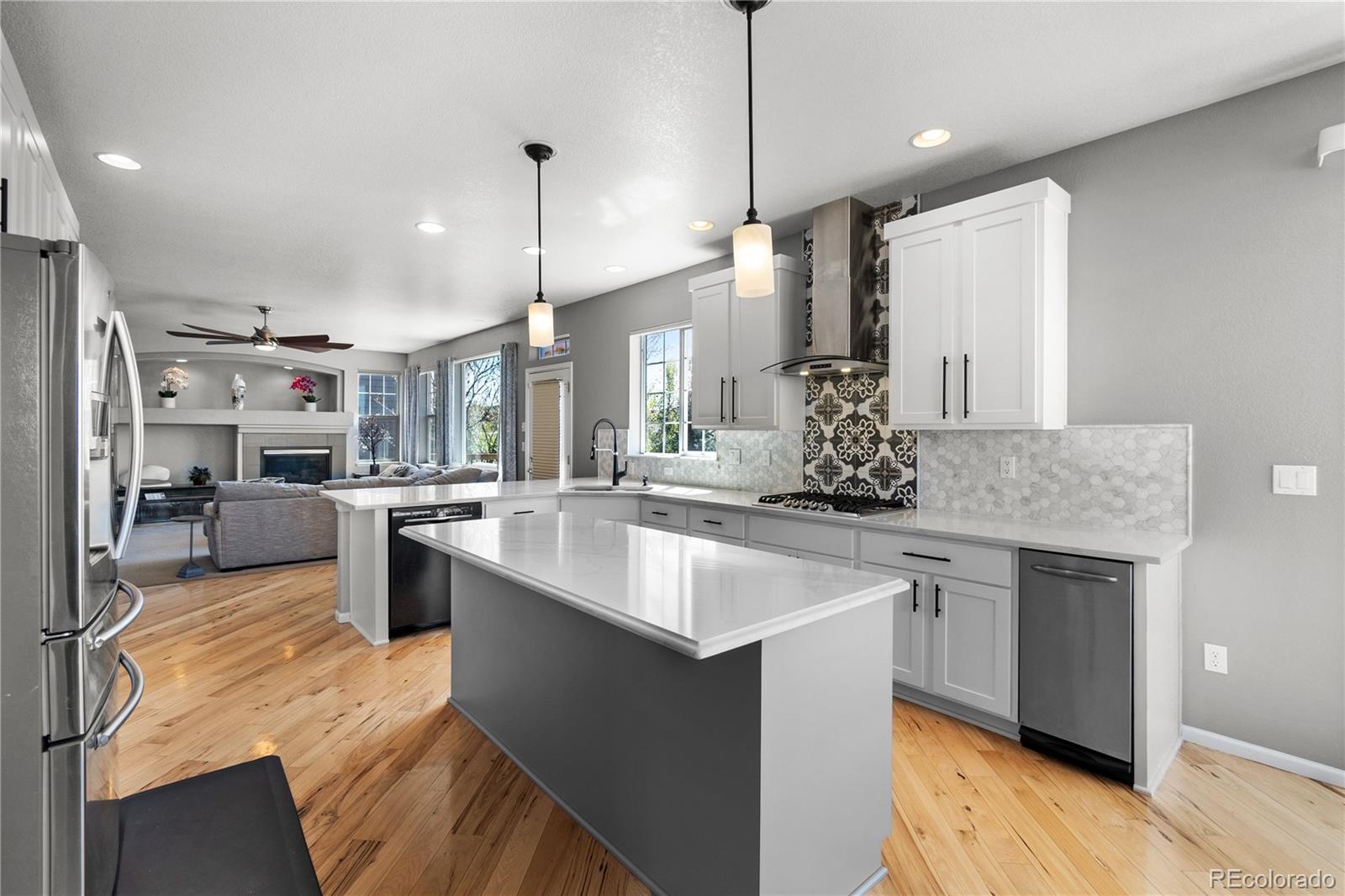 MLS Image #22 for 11703 s rock willow way,parker, Colorado