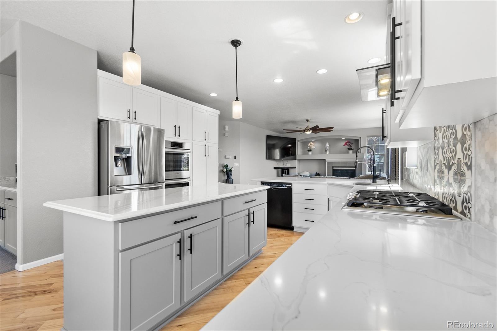 MLS Image #24 for 11703 s rock willow way,parker, Colorado