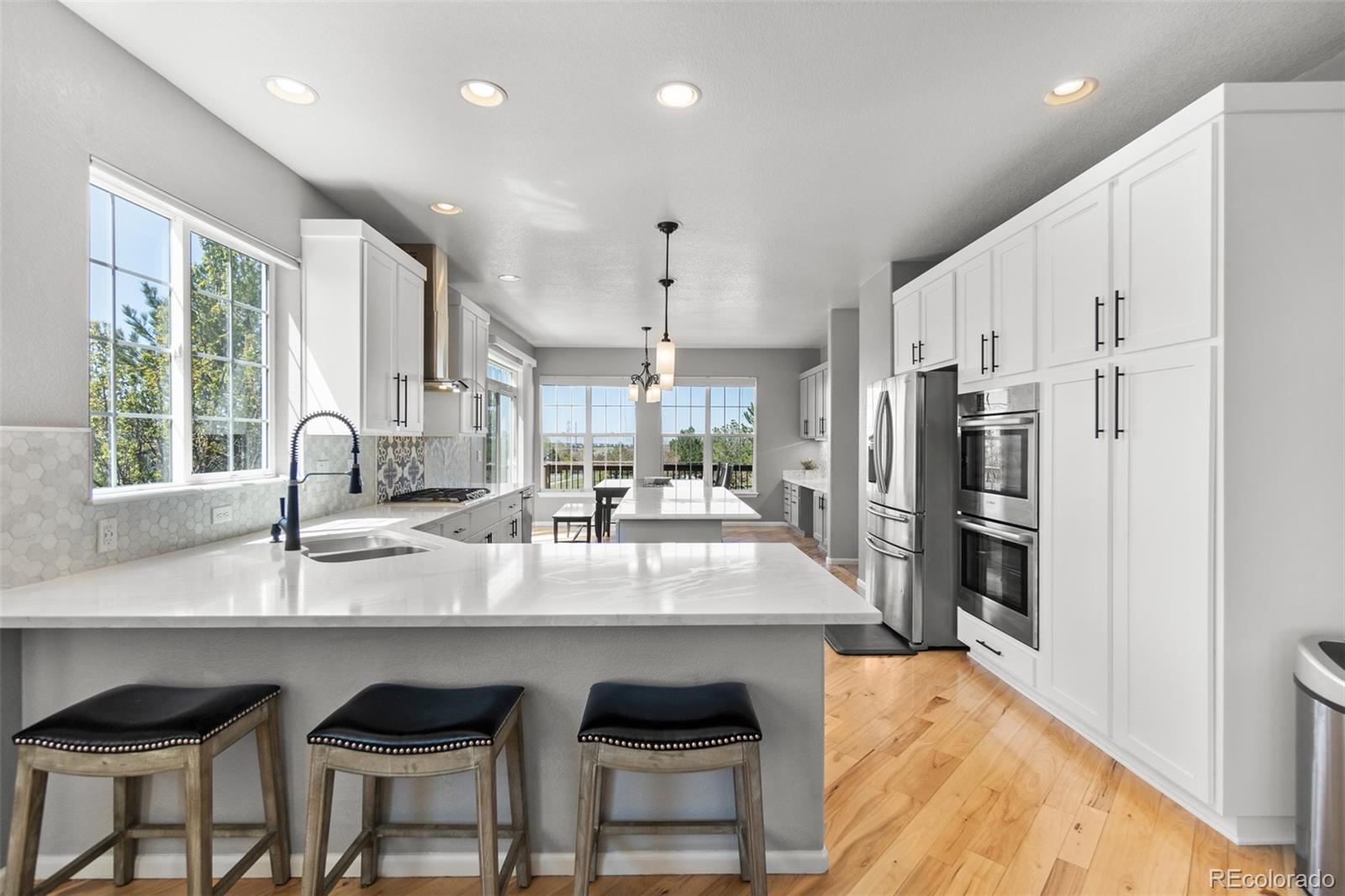 MLS Image #26 for 11703 s rock willow way,parker, Colorado