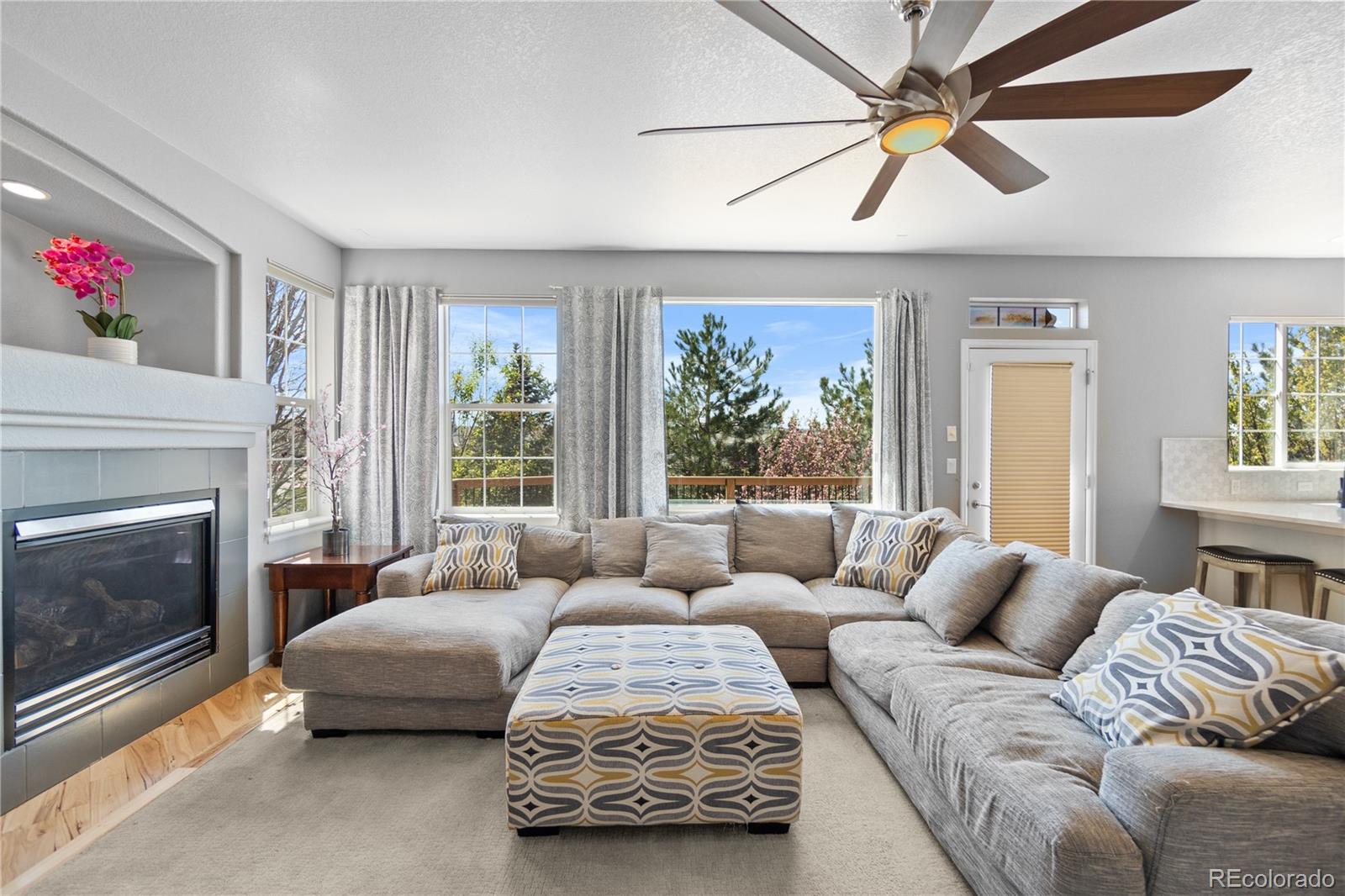 MLS Image #30 for 11703 s rock willow way,parker, Colorado