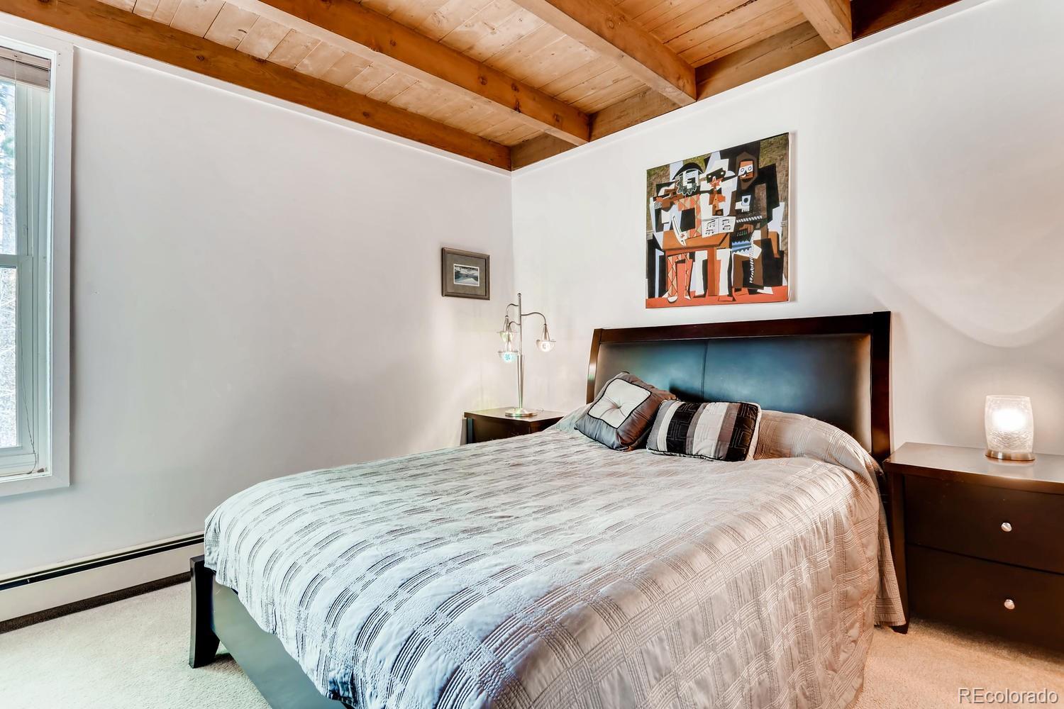 MLS Image #10 for 2300  lodge pole circle,silverthorne, Colorado