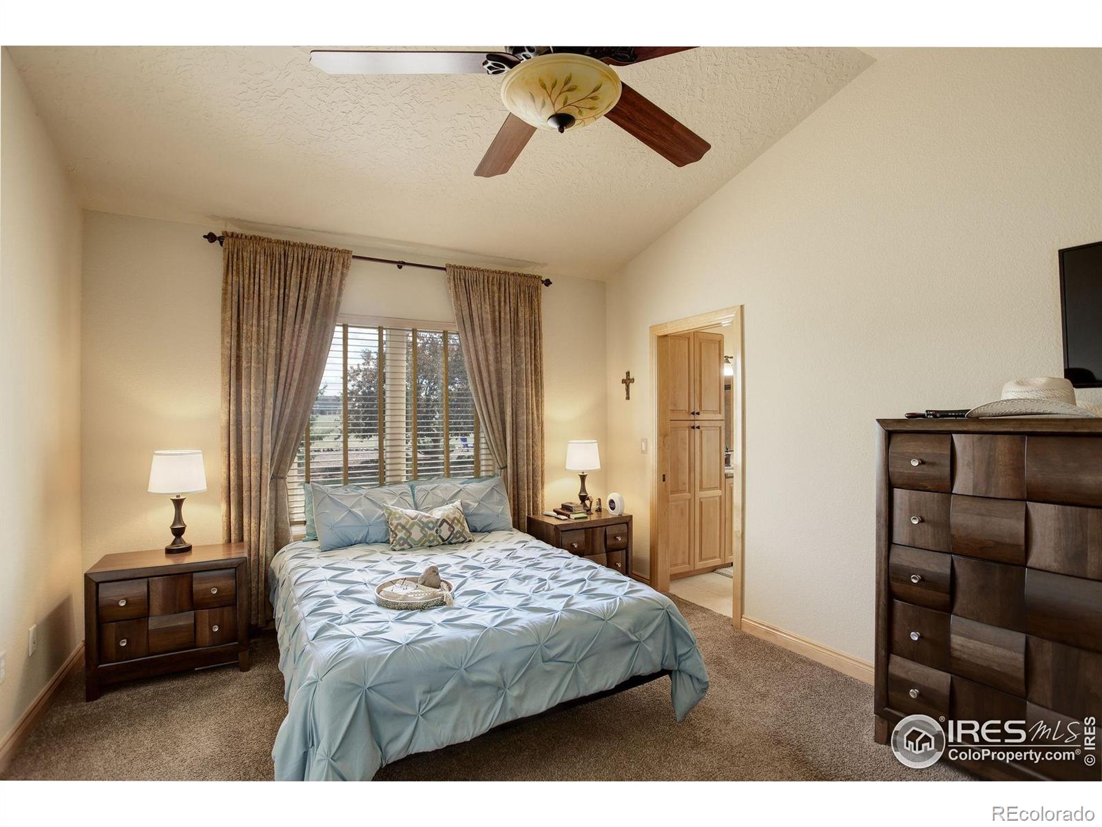 MLS Image #13 for 4406  indigo drive,severance, Colorado