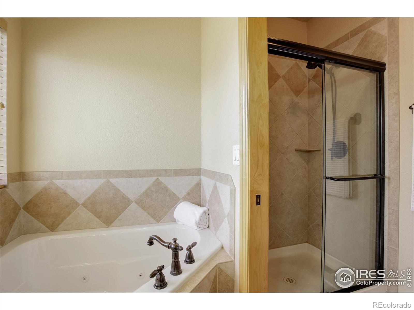 MLS Image #17 for 4406  indigo drive,severance, Colorado