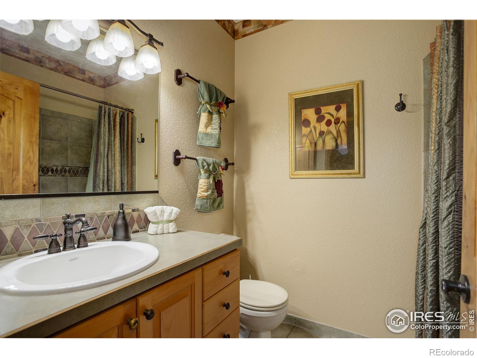 MLS Image #21 for 4406  indigo drive,severance, Colorado