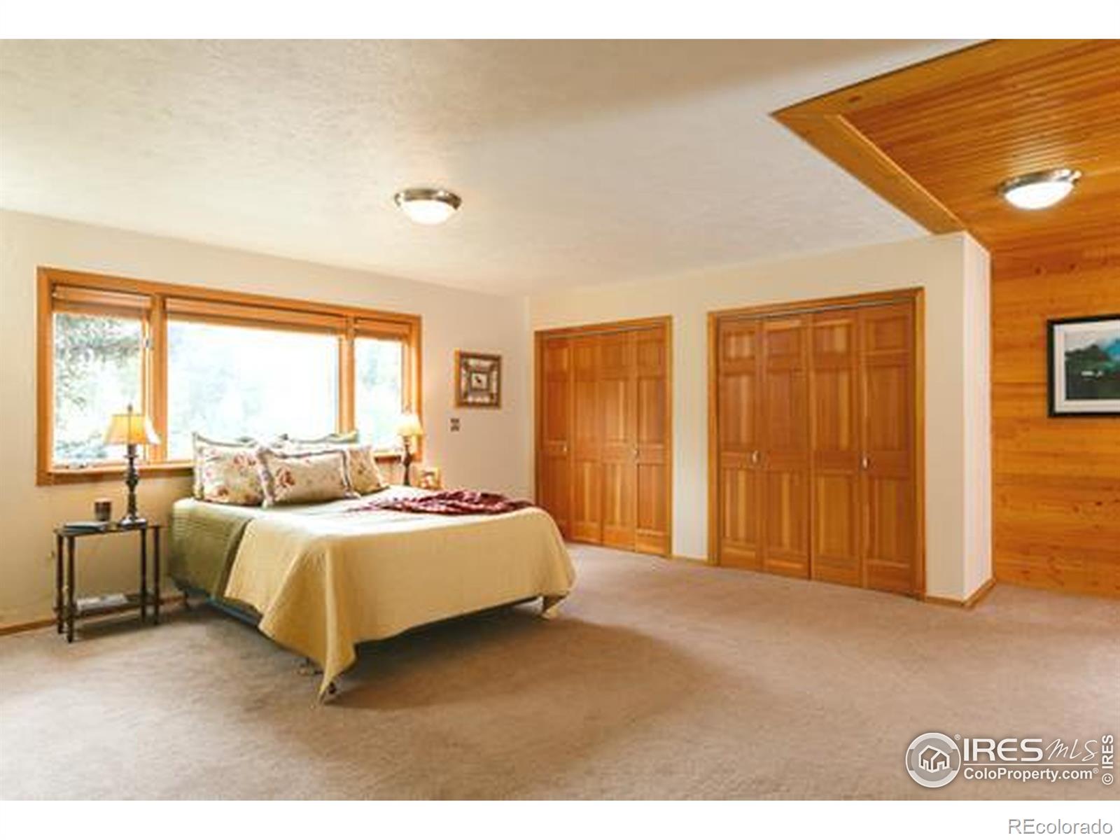MLS Image #14 for 7127  coal creek canyon highway,nederland, Colorado