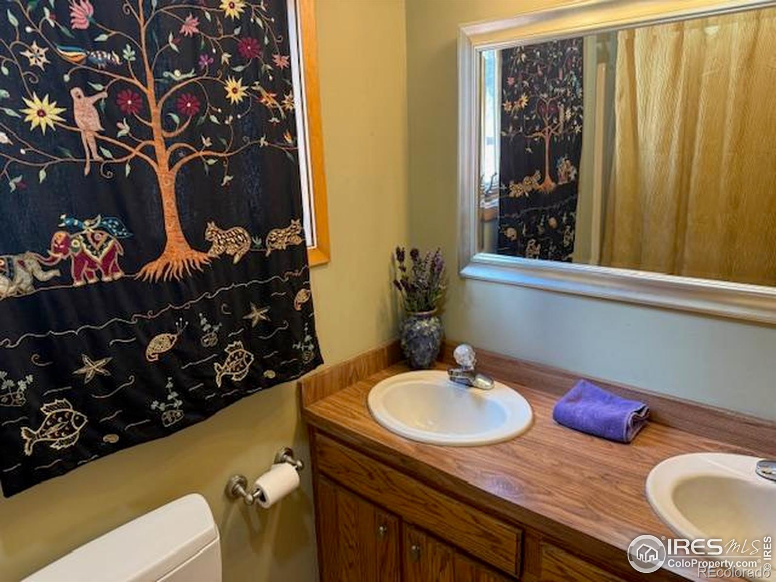 MLS Image #18 for 7127  coal creek canyon highway,nederland, Colorado