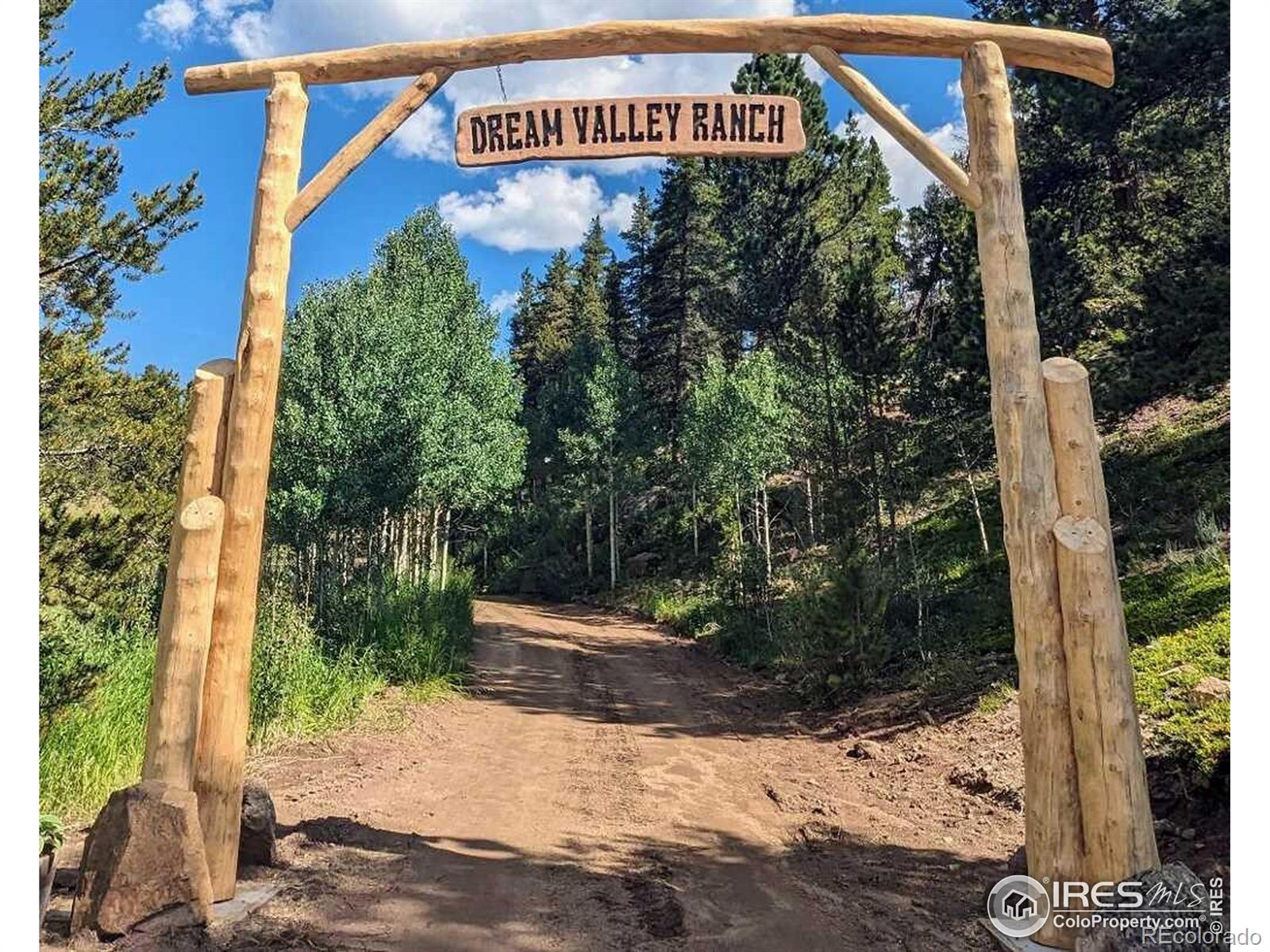 MLS Image #3 for 7127  coal creek canyon highway,nederland, Colorado