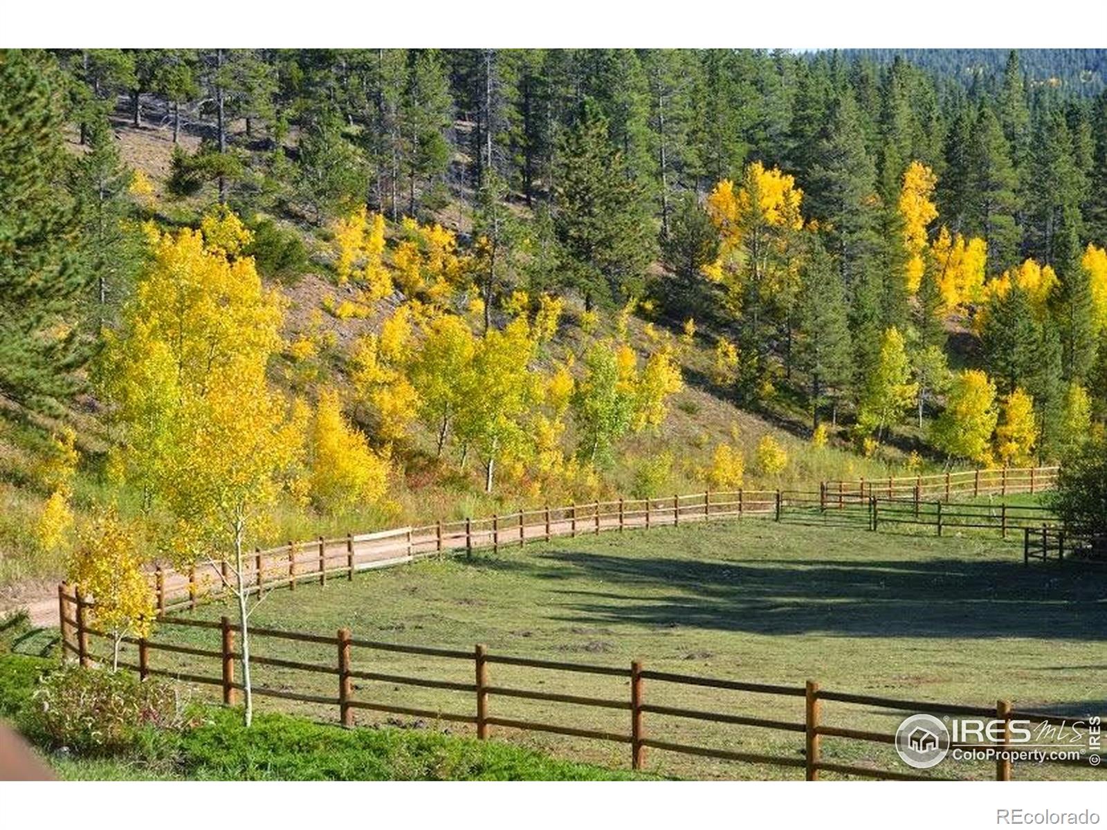MLS Image #4 for 7127  coal creek canyon highway,nederland, Colorado