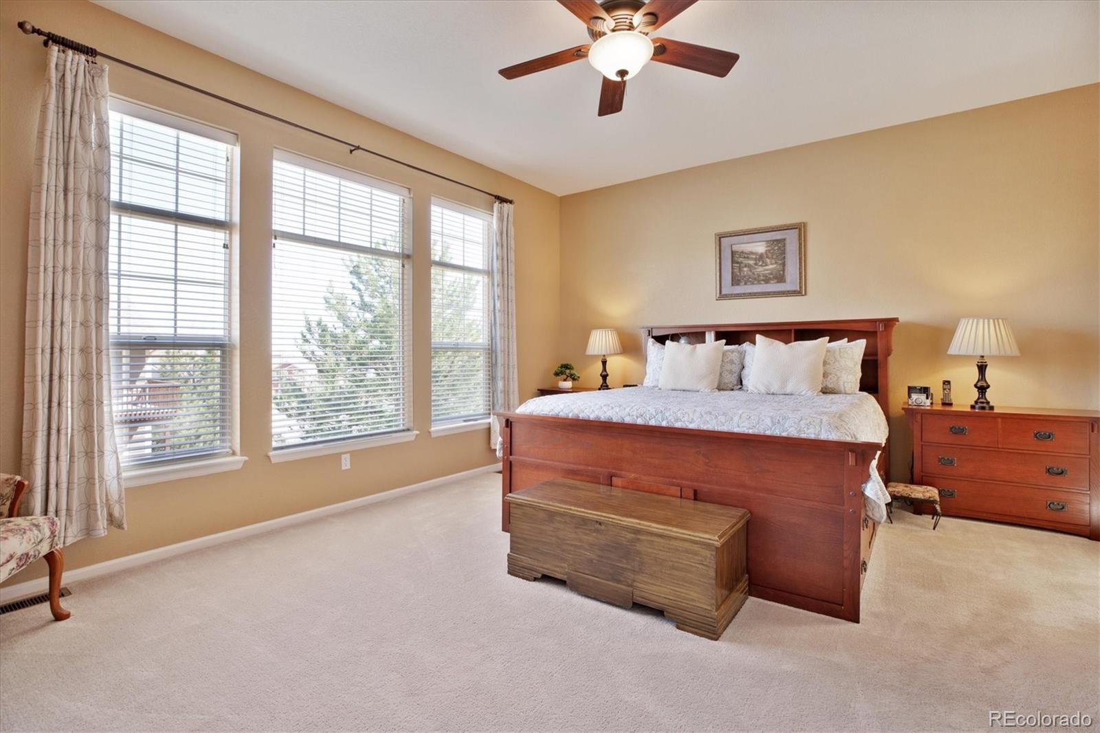 MLS Image #19 for 8312  hackamore road,littleton, Colorado