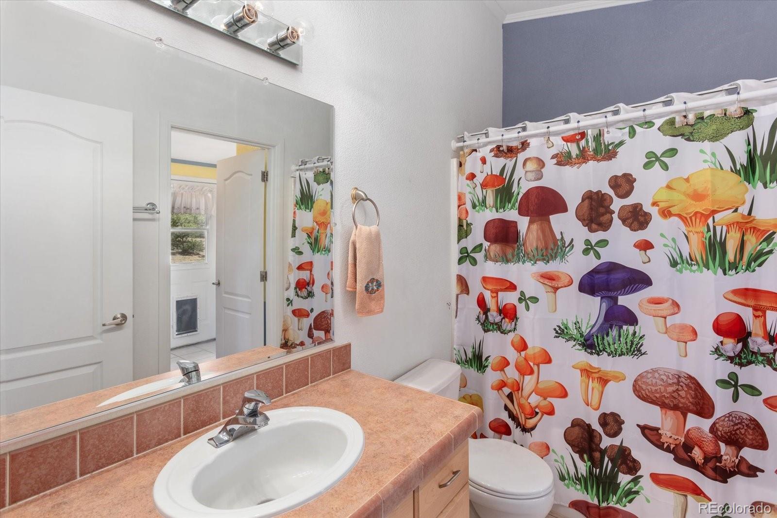 MLS Image #16 for 13280  county road 353 ,buena vista, Colorado