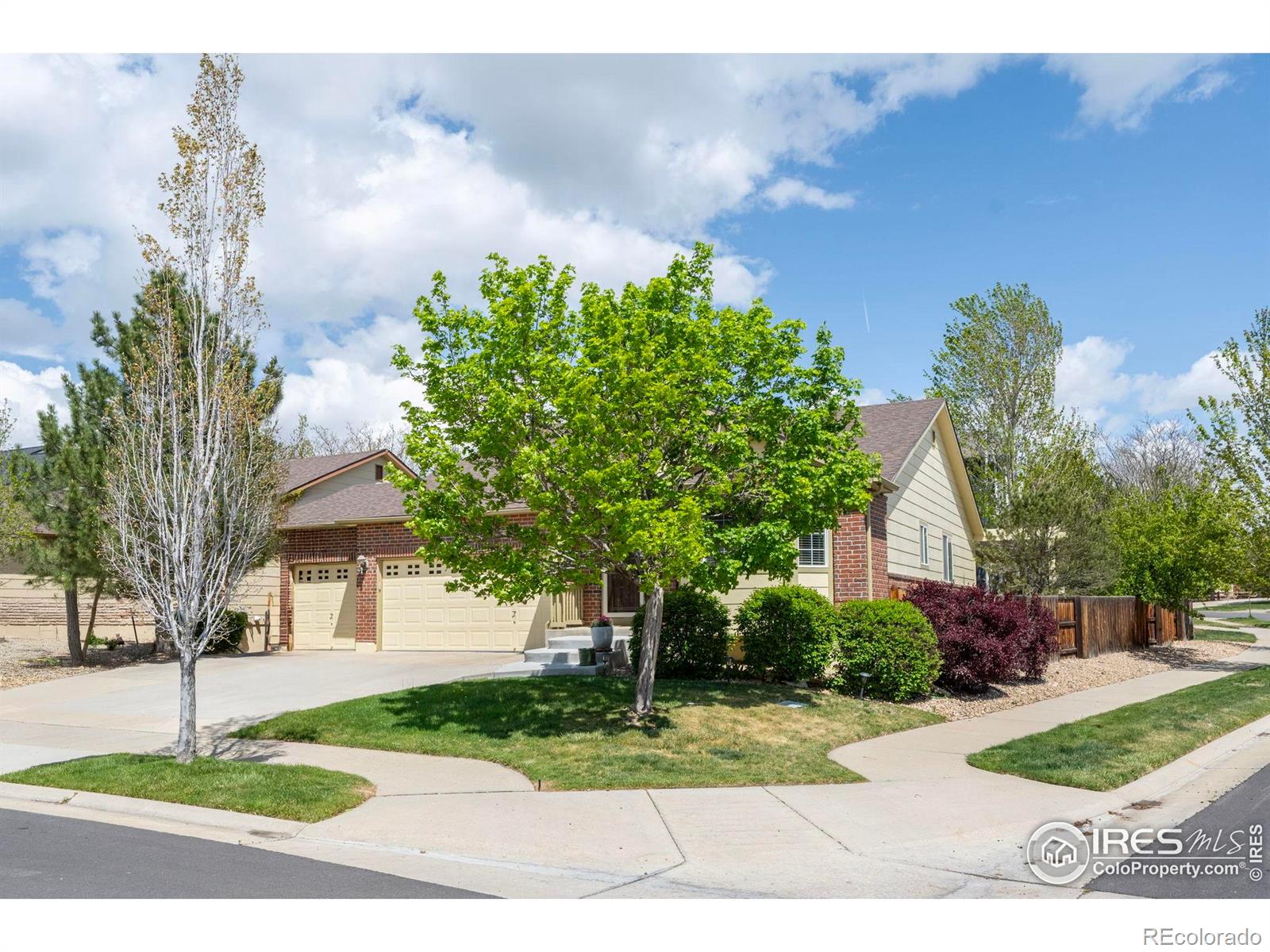 MLS Image #1 for 2304  dogwood drive,erie, Colorado