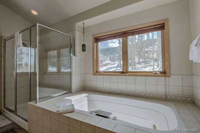 MLS Image #31 for 89  fairview circle,breckenridge, Colorado