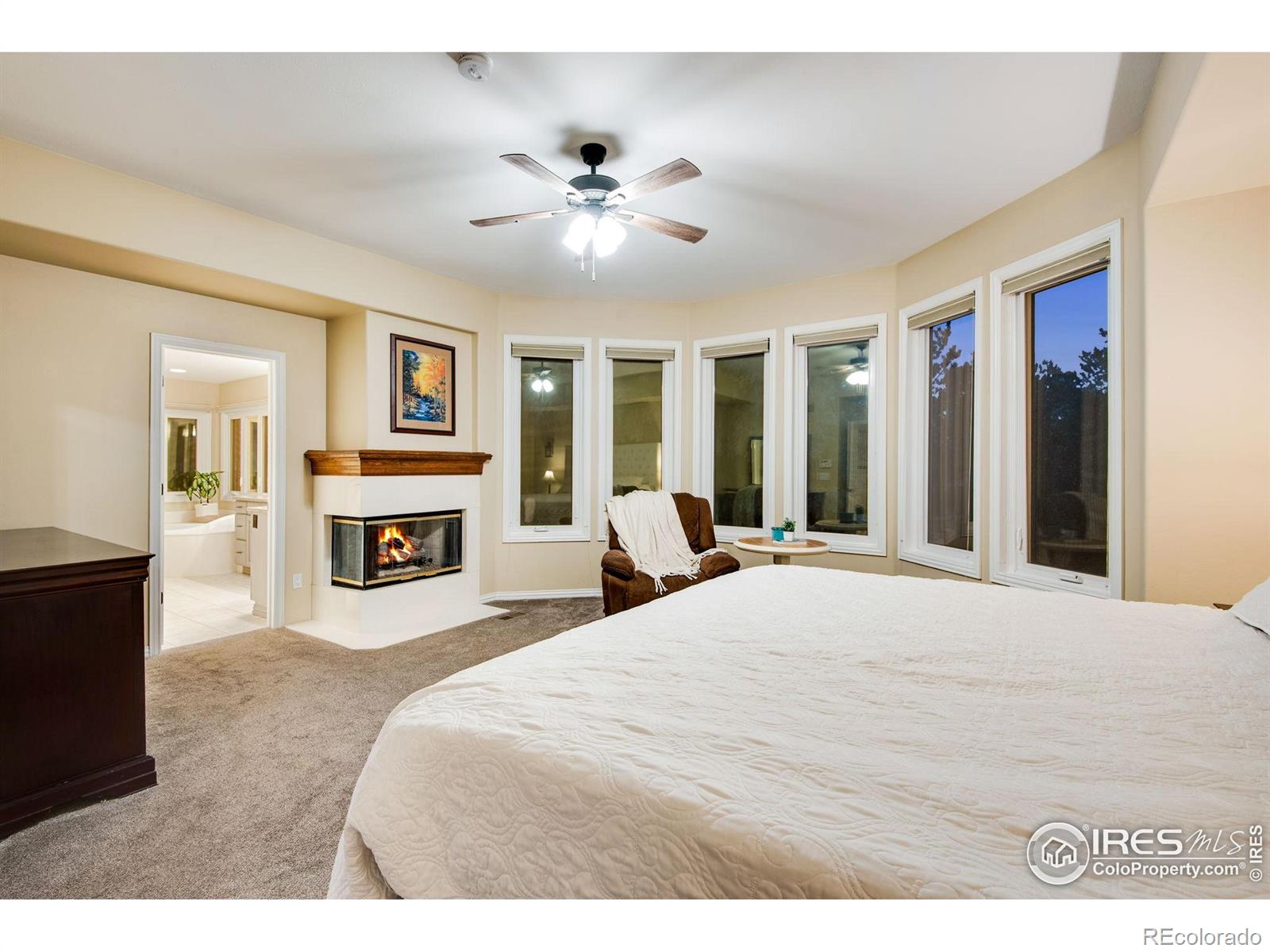 MLS Image #14 for 9980  newton court,westminster, Colorado