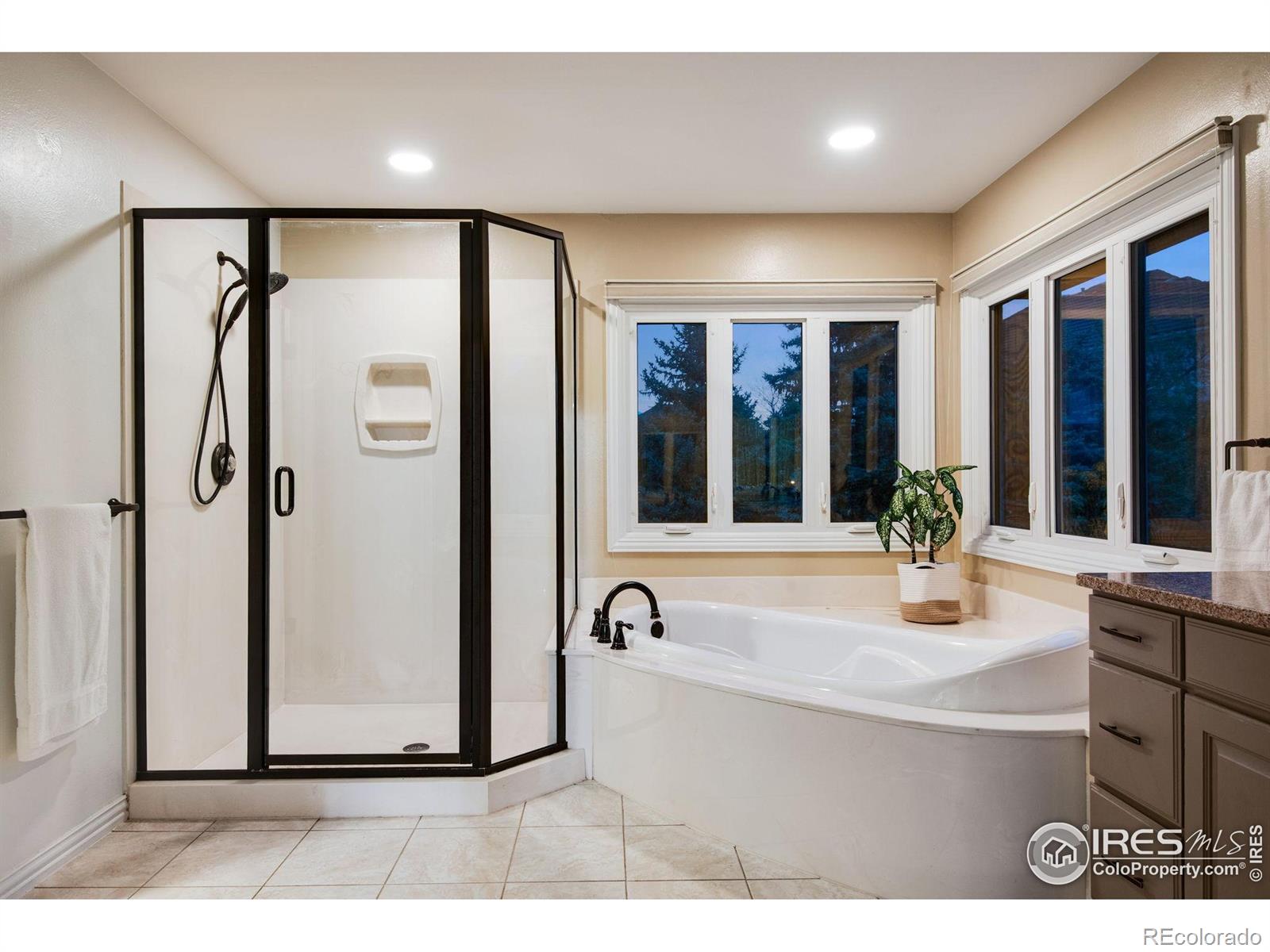 MLS Image #15 for 9980  newton court,westminster, Colorado