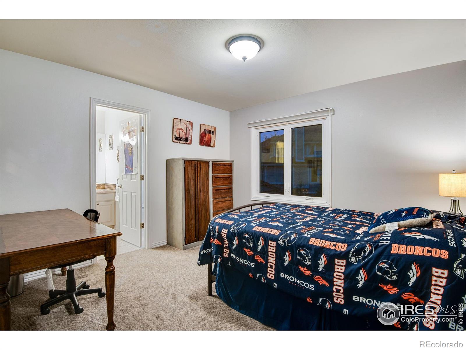 MLS Image #18 for 9980  newton court,westminster, Colorado