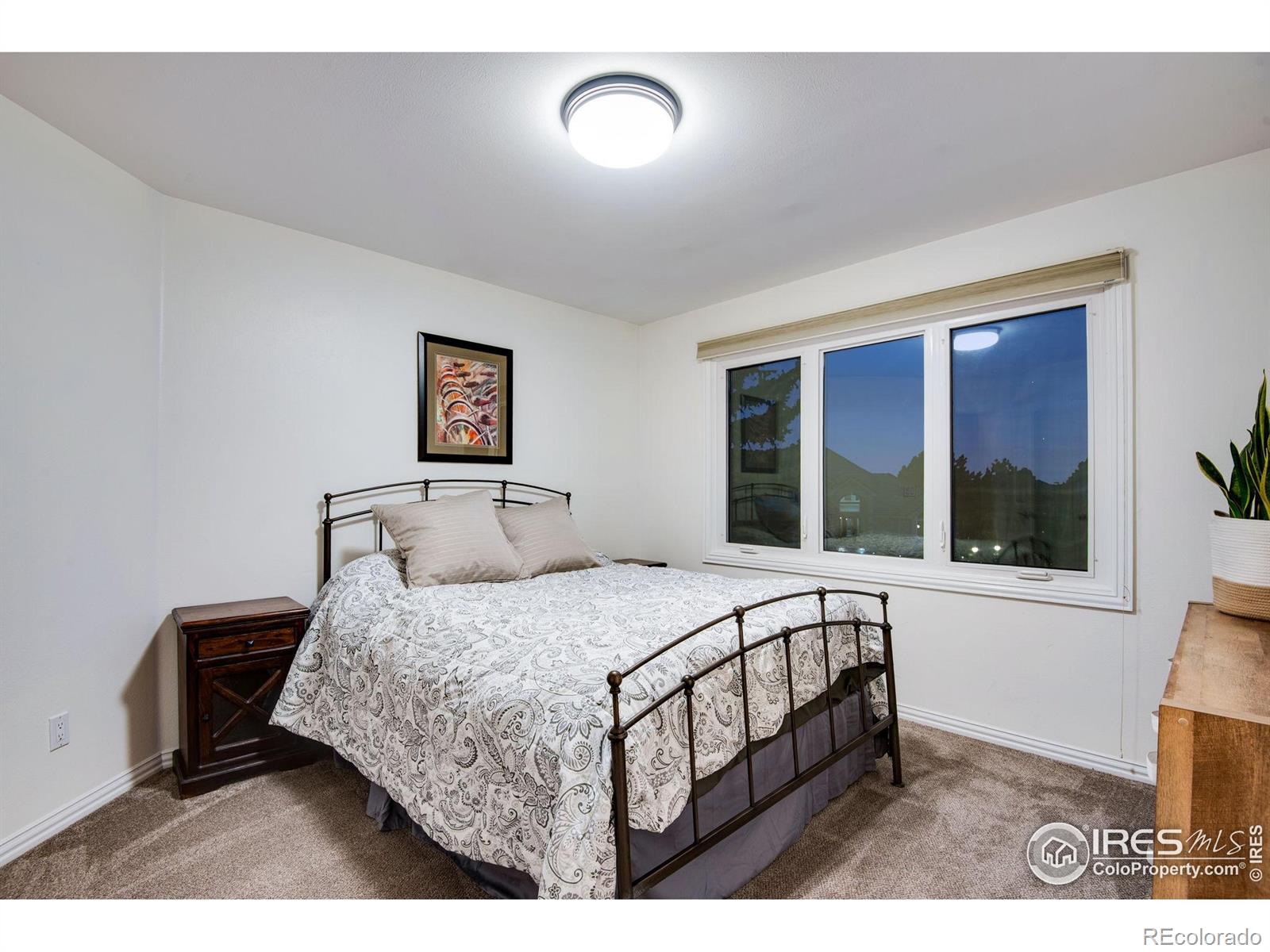 MLS Image #20 for 9980  newton court,westminster, Colorado
