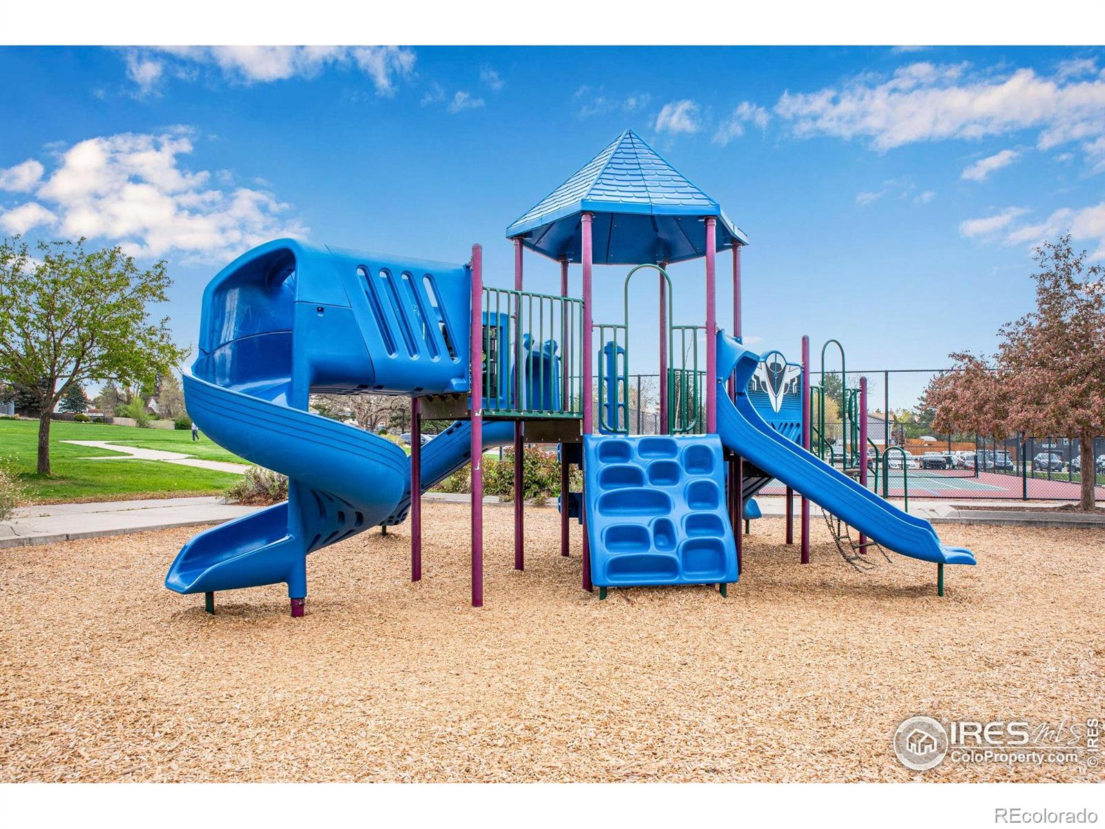 MLS Image #35 for 9980  newton court,westminster, Colorado