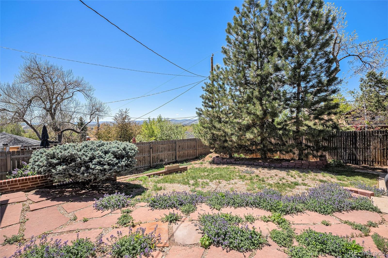 MLS Image #24 for 6305  yukon street,arvada, Colorado