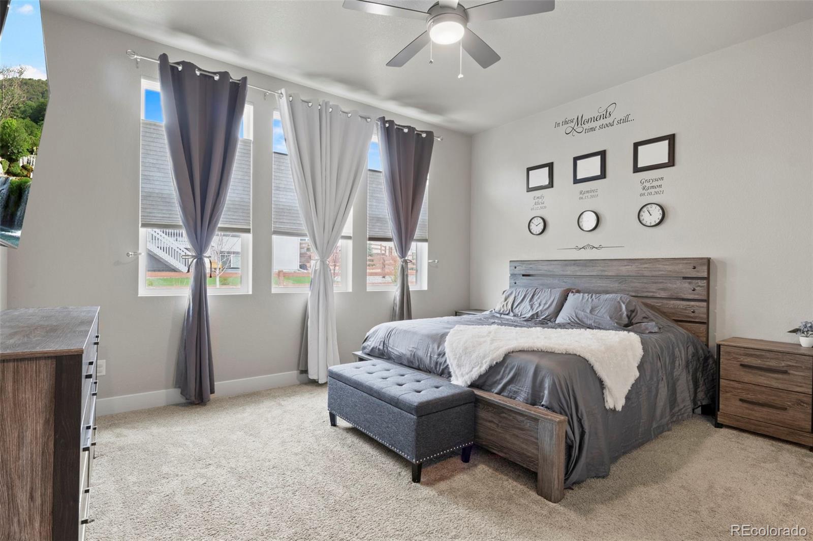 MLS Image #14 for 6698  enclave vista loop,colorado springs, Colorado