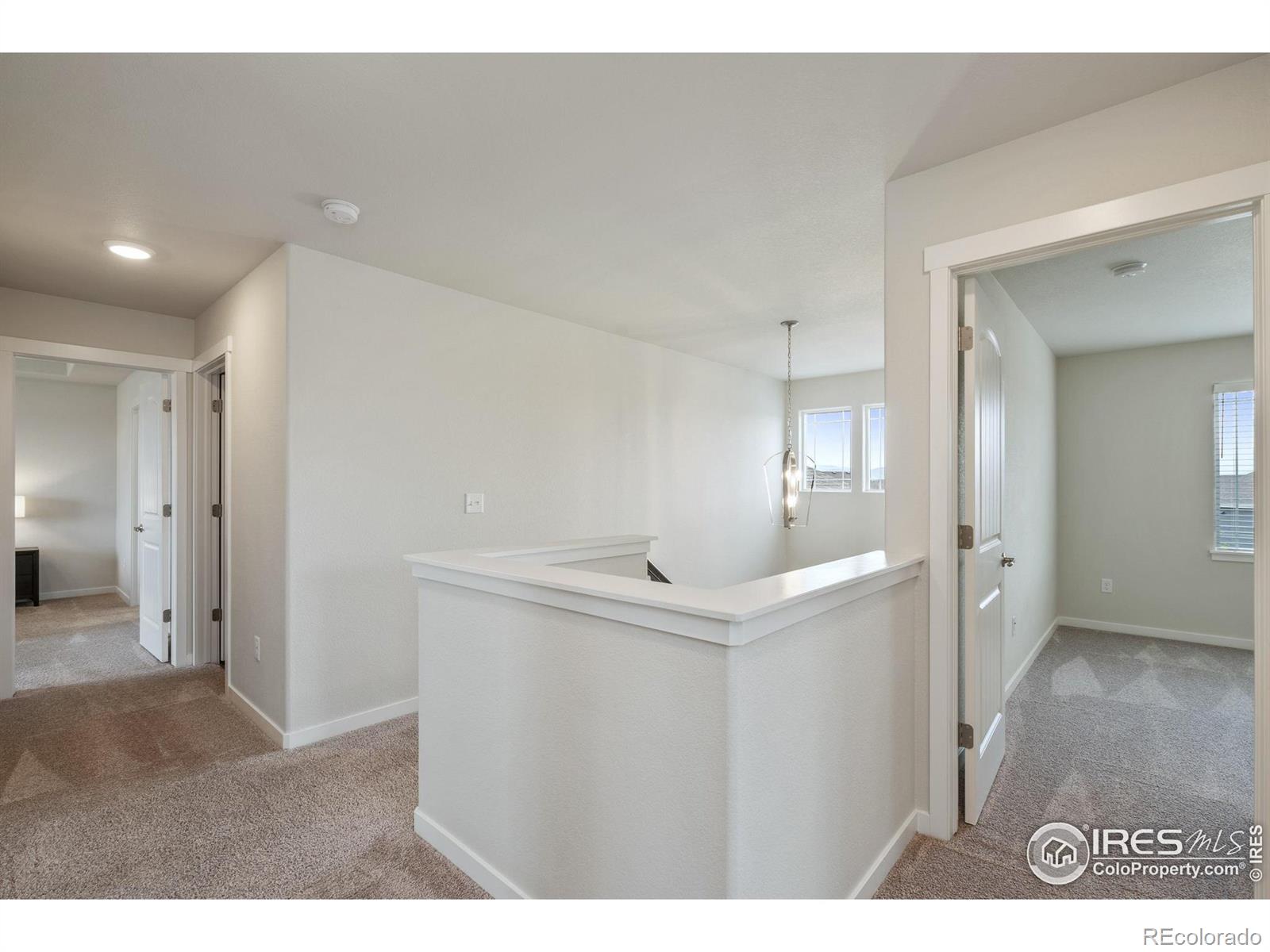 MLS Image #20 for 5086  thunderhead drive,timnath, Colorado