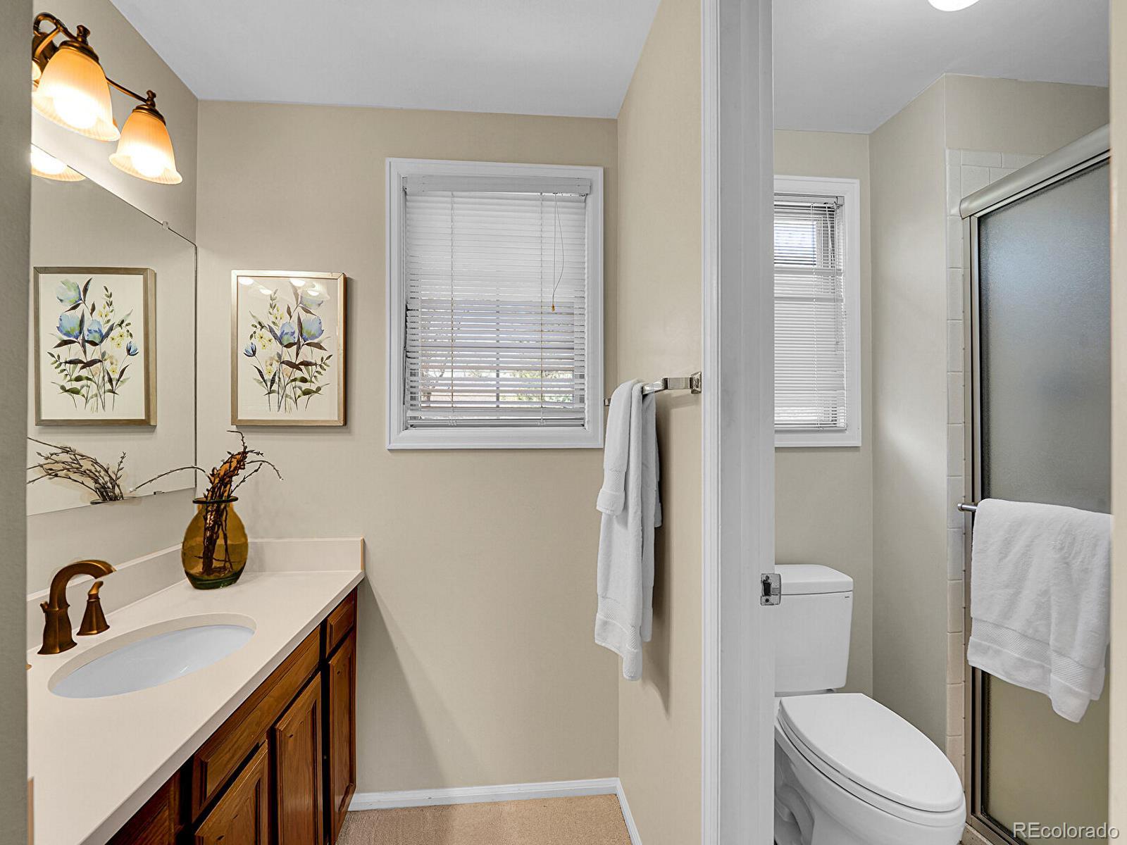 MLS Image #19 for 7405 s jackson court,centennial, Colorado