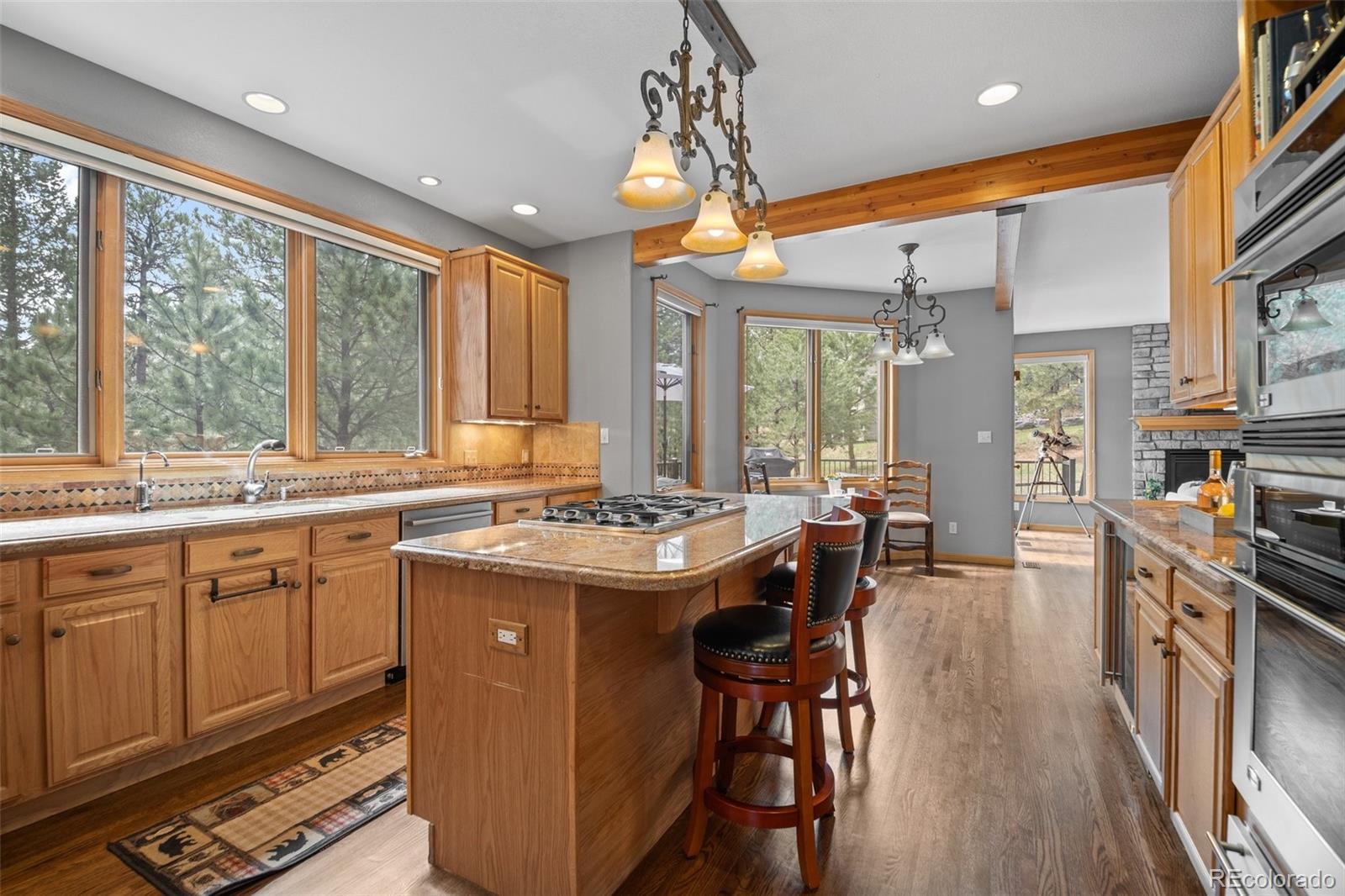 MLS Image #10 for 1423  belford court,evergreen, Colorado