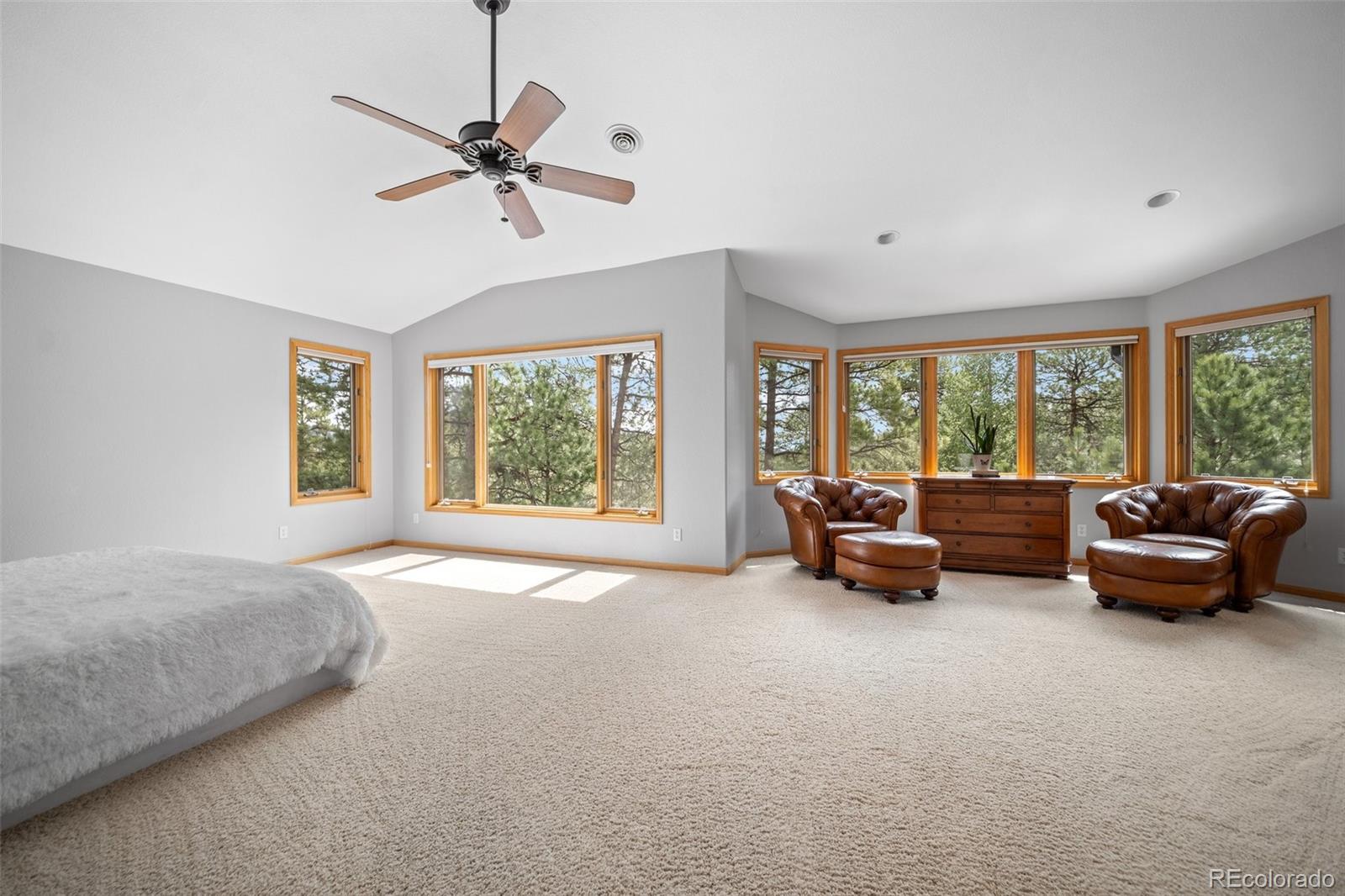 MLS Image #15 for 1423  belford court,evergreen, Colorado