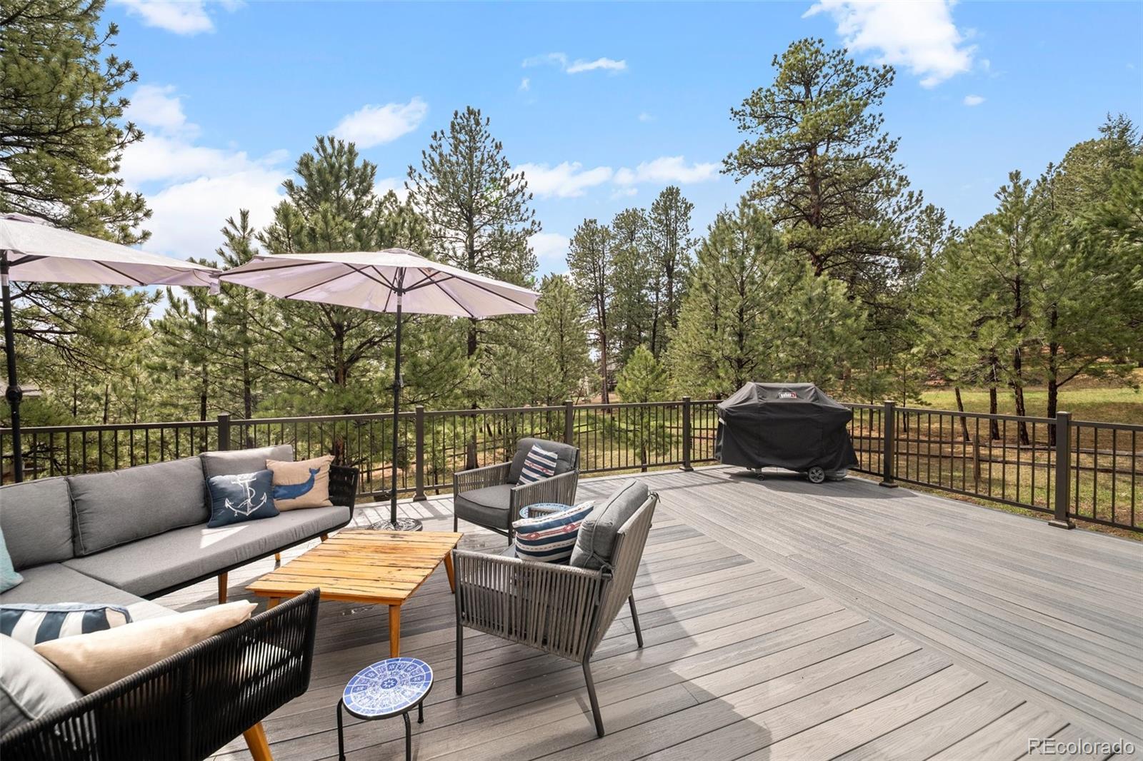 MLS Image #31 for 1423  belford court,evergreen, Colorado