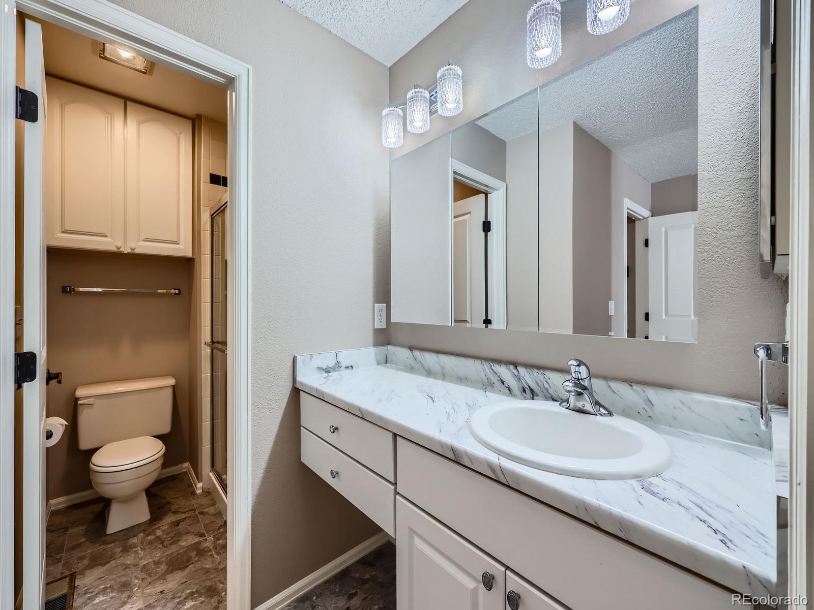 MLS Image #17 for 31  shetland court,highlands ranch, Colorado