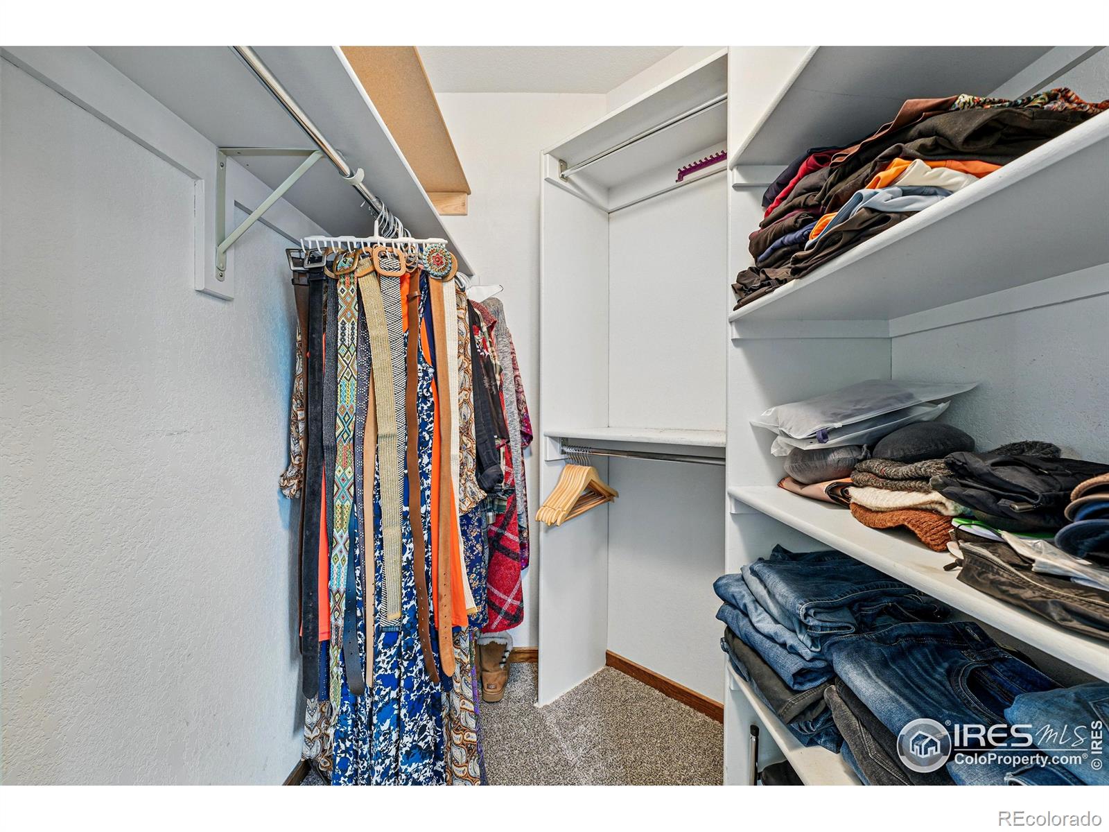 MLS Image #16 for 2819  seccomb street,fort collins, Colorado