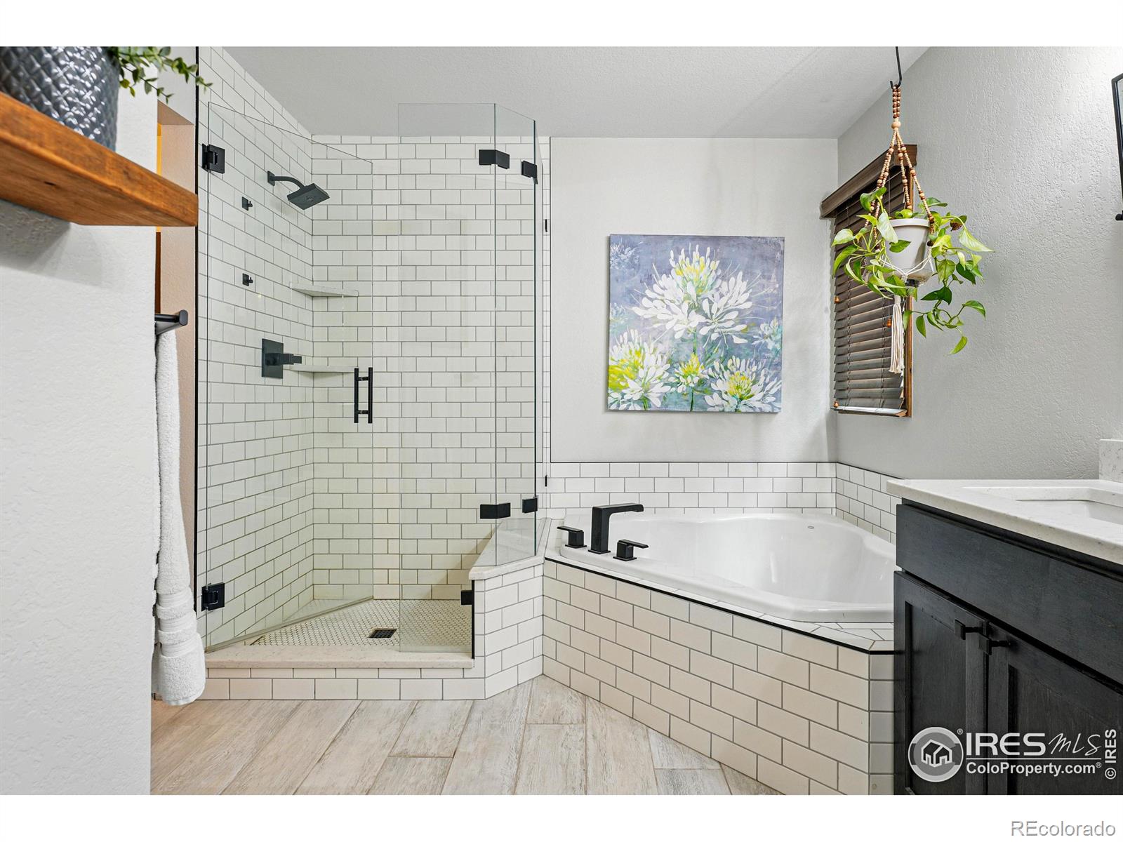 MLS Image #17 for 2819  seccomb street,fort collins, Colorado