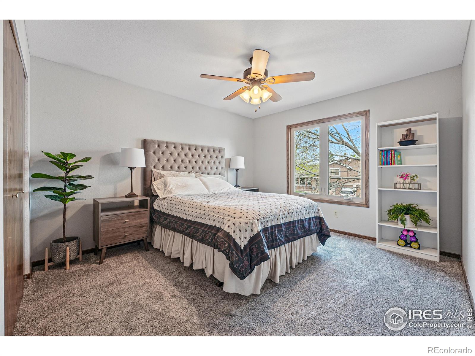 MLS Image #20 for 2819  seccomb street,fort collins, Colorado