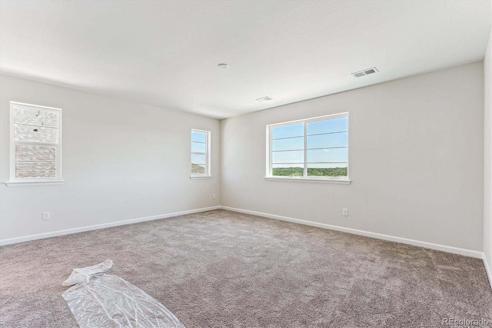 MLS Image #15 for 4728  twelve oaks way,castle rock, Colorado