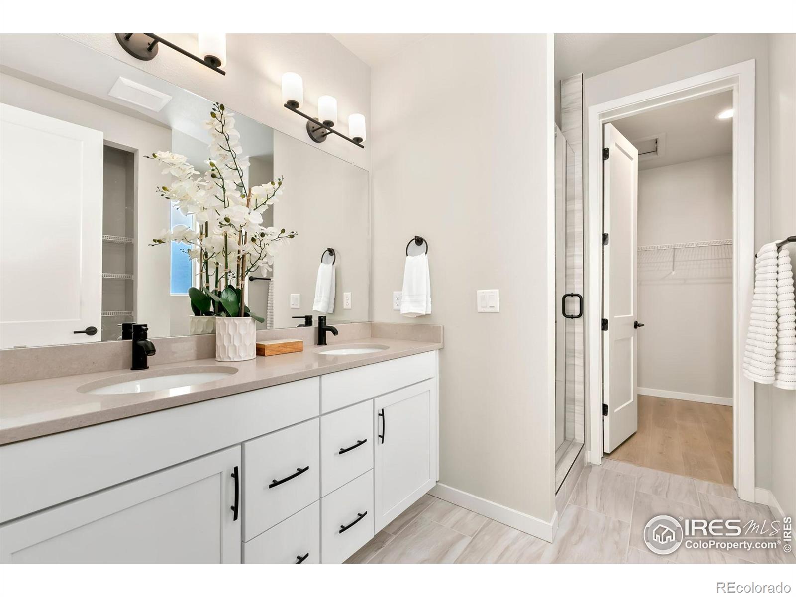 MLS Image #6 for 706  greenfields drive,fort collins, Colorado