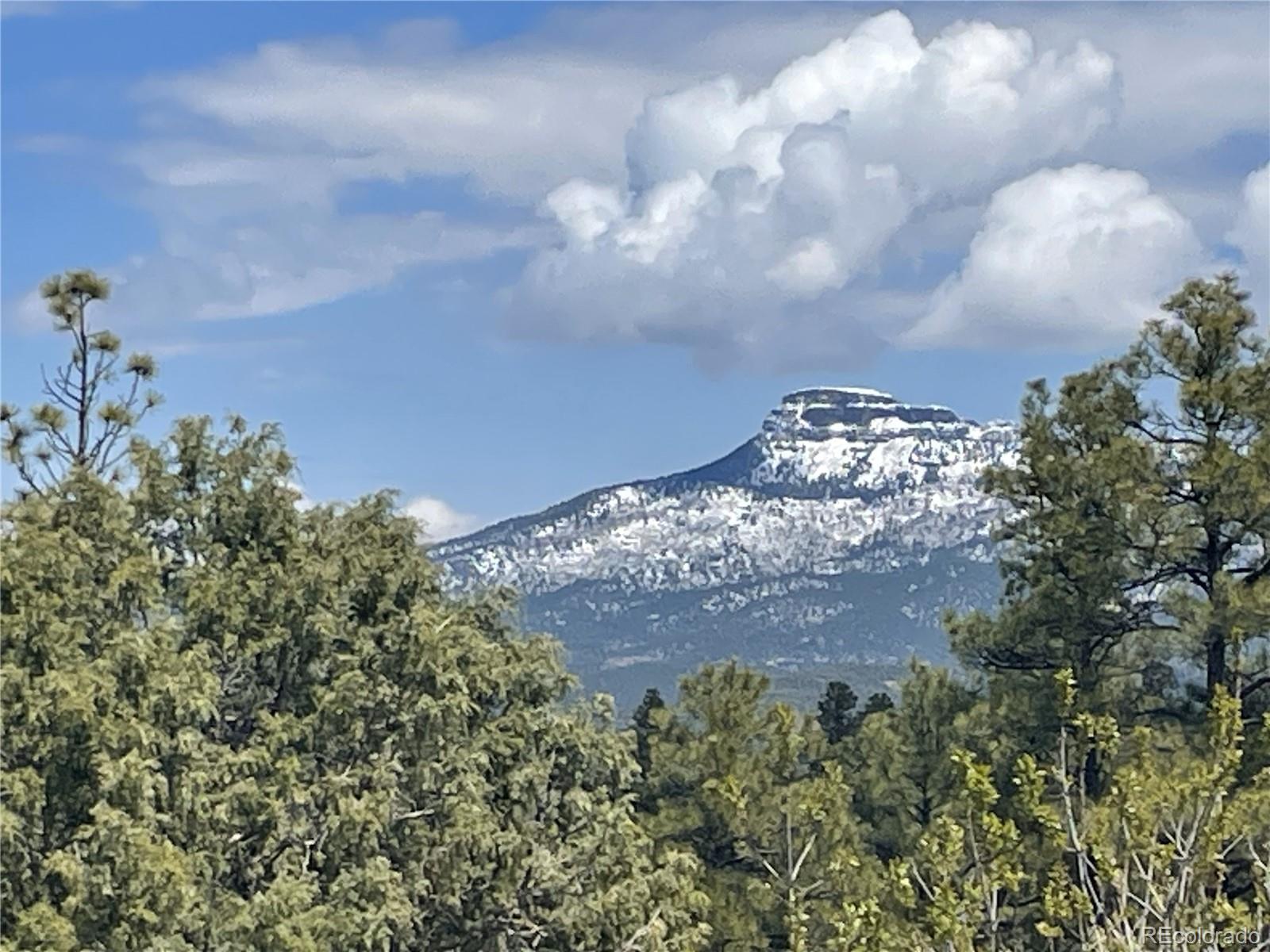 MLS Image #42 for 33011  hidden meadow lane,trinidad, Colorado