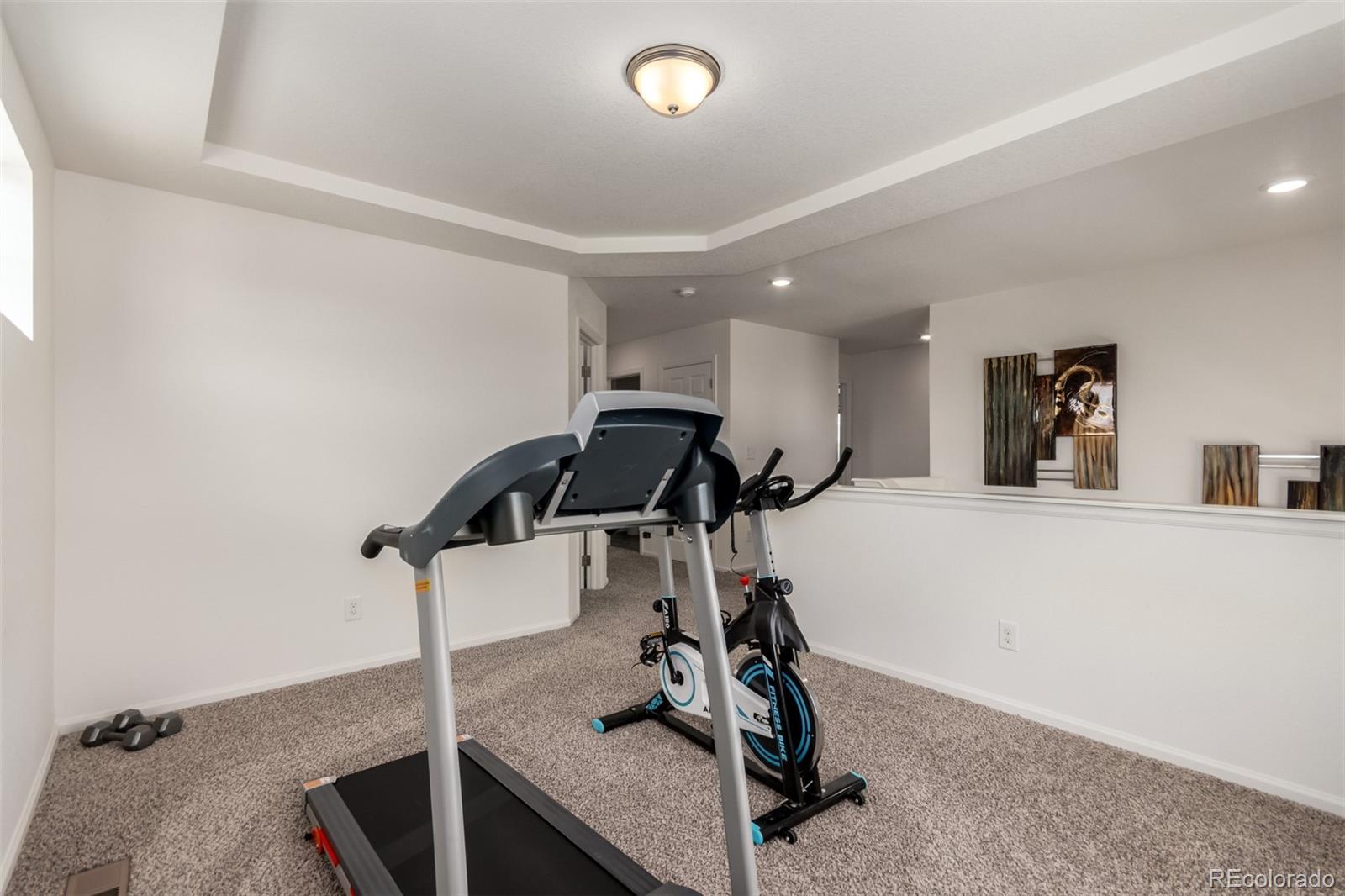 MLS Image #21 for 10208  walden court,commerce city, Colorado